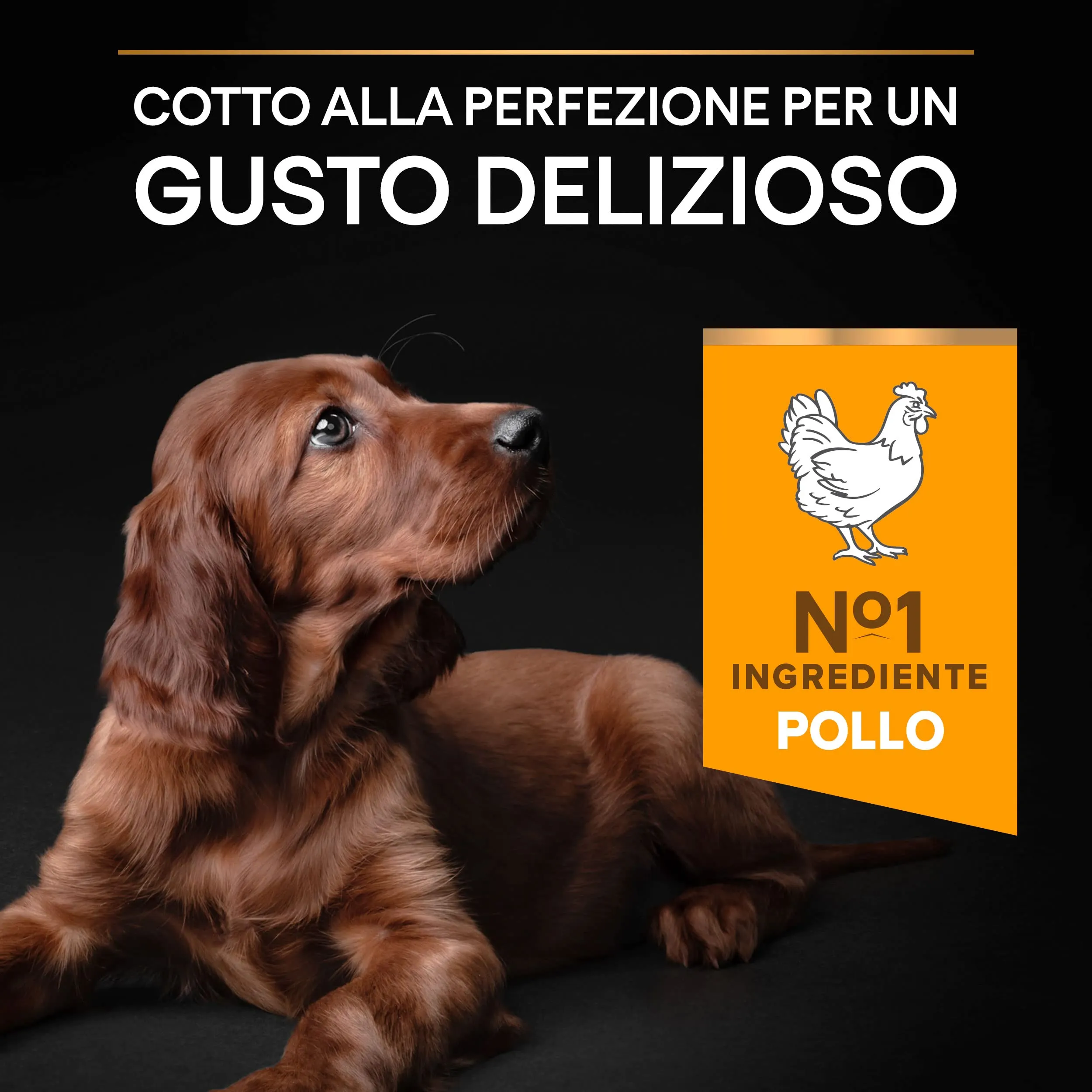 PURINA PRO PLAN Healthy Start Large Athletic Crocchette per Cani Cuccioli con Pollo 4 Sacchi da 3kg - immagine 5