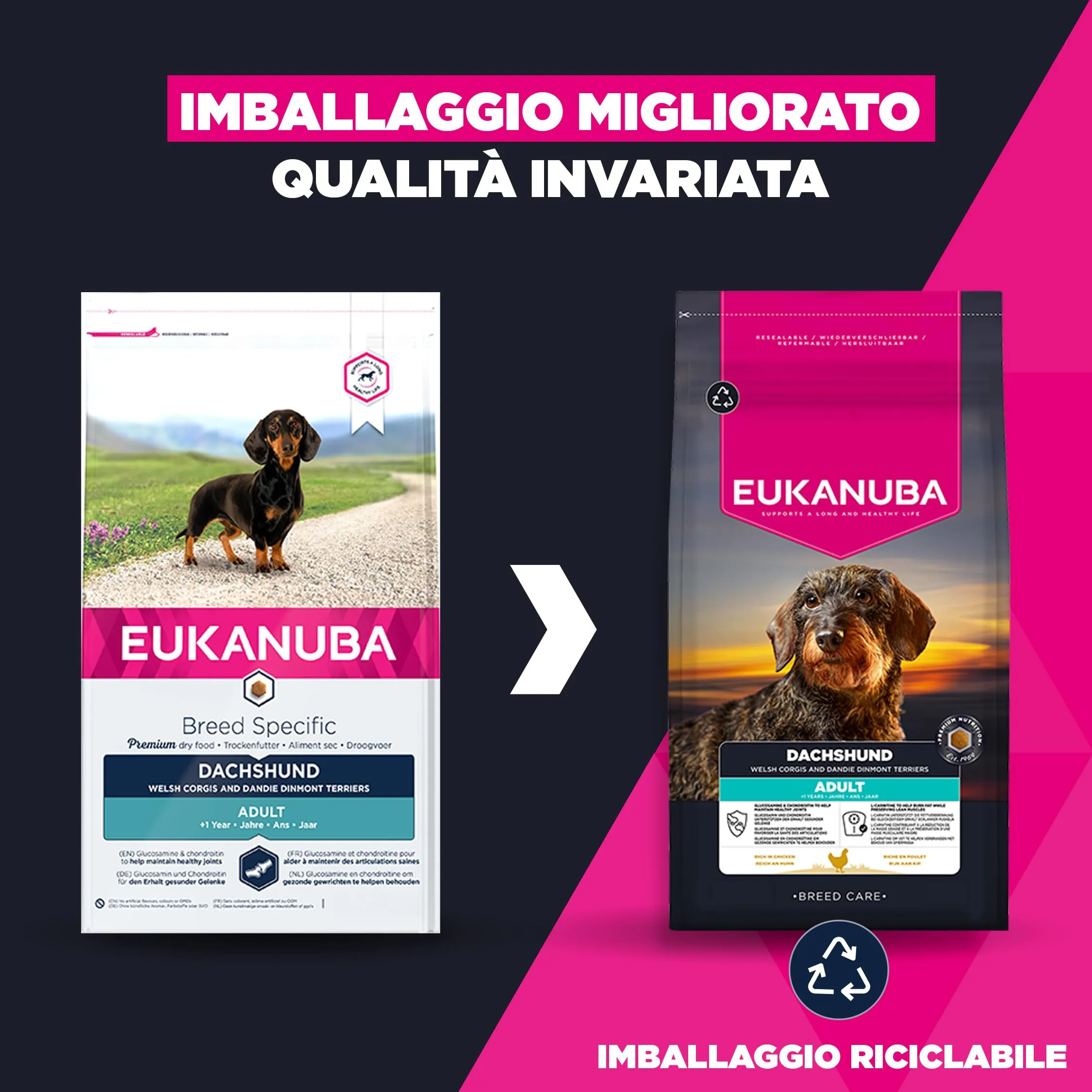 Eukanuba Cibo secco EUKANUBA Breed Care per bassotti adulti 3 kg - immagine 2