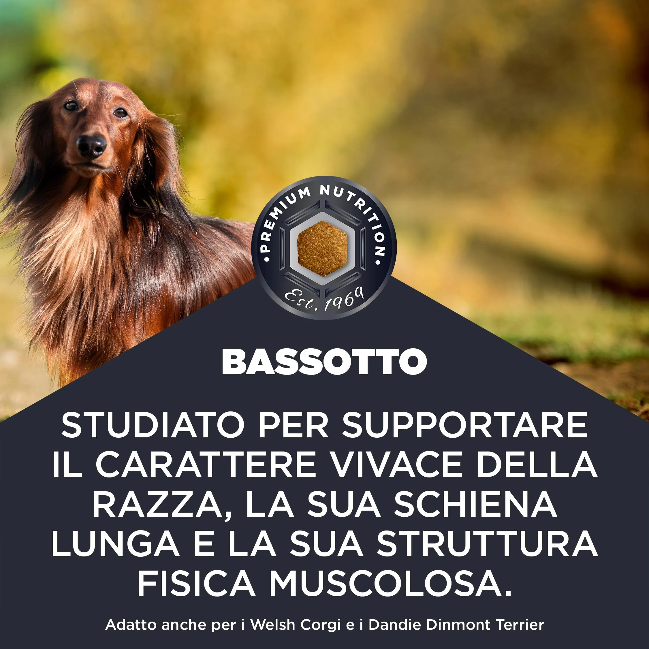 Eukanuba Cibo secco EUKANUBA Breed Care per bassotti adulti 3 kg - immagine 3