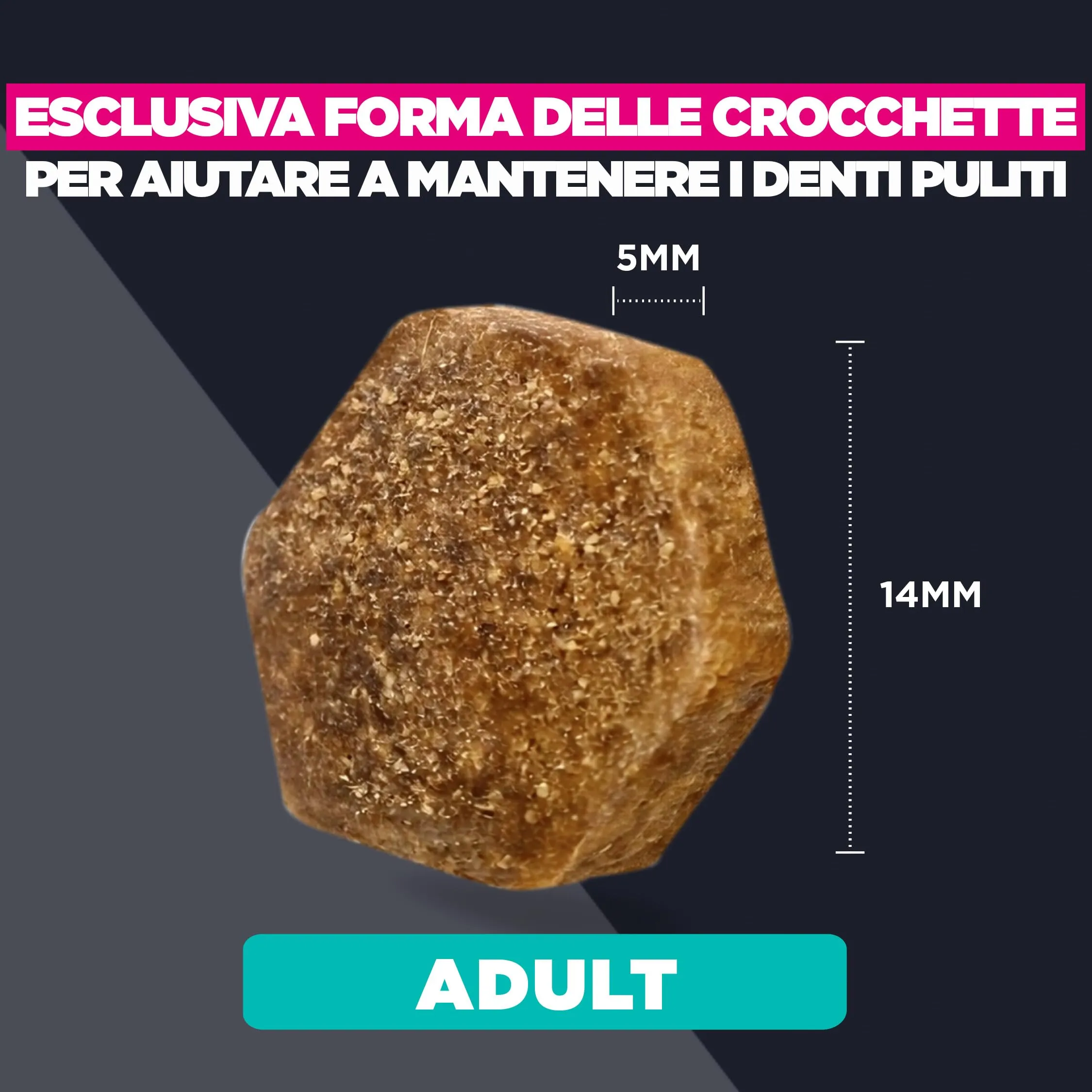 Eukanuba Cibo secco EUKANUBA Breed Care per bassotti adulti 3 kg - immagine 5