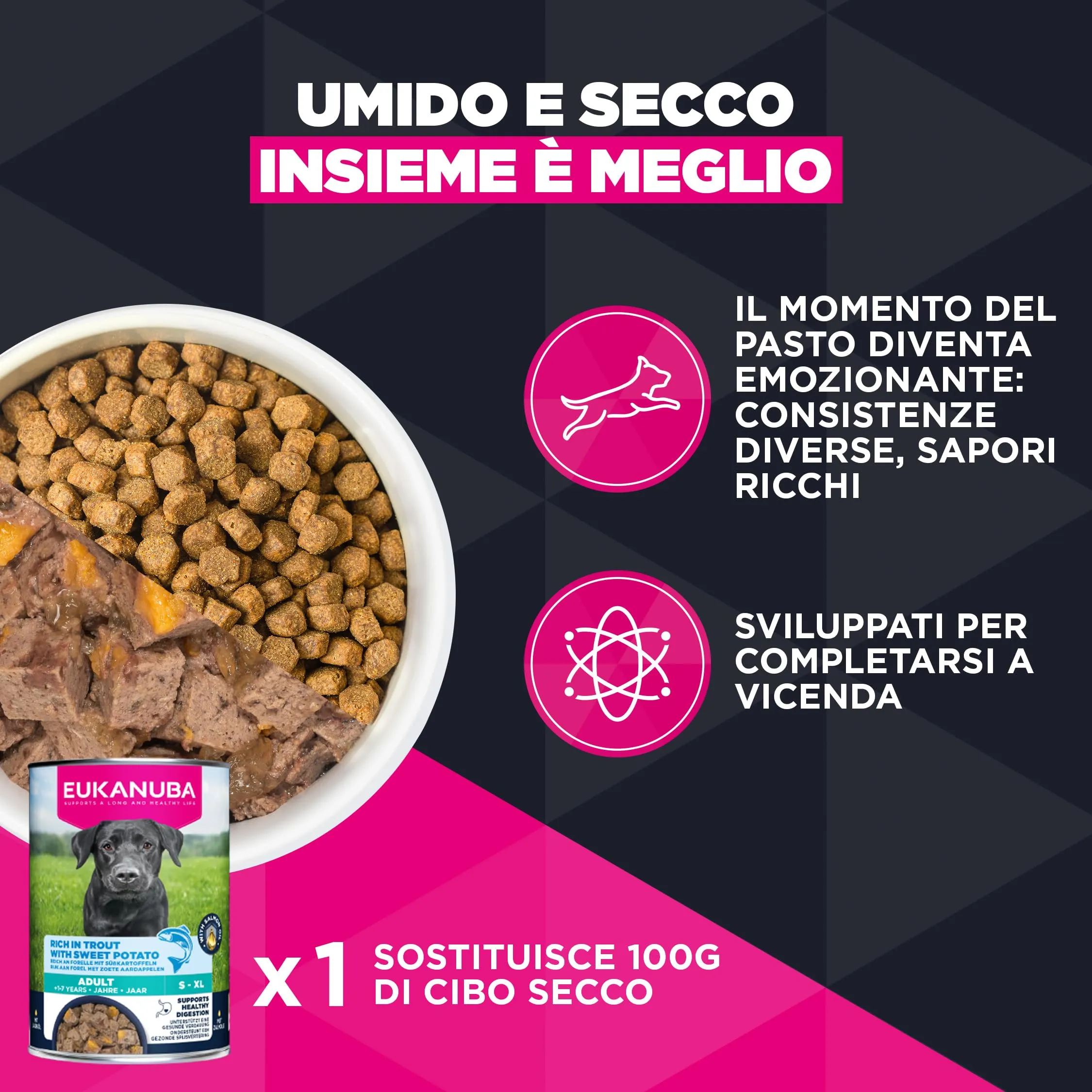 Eukanuba Cibo secco EUKANUBA Breed Care per bassotti adulti 3 kg - immagine 8
