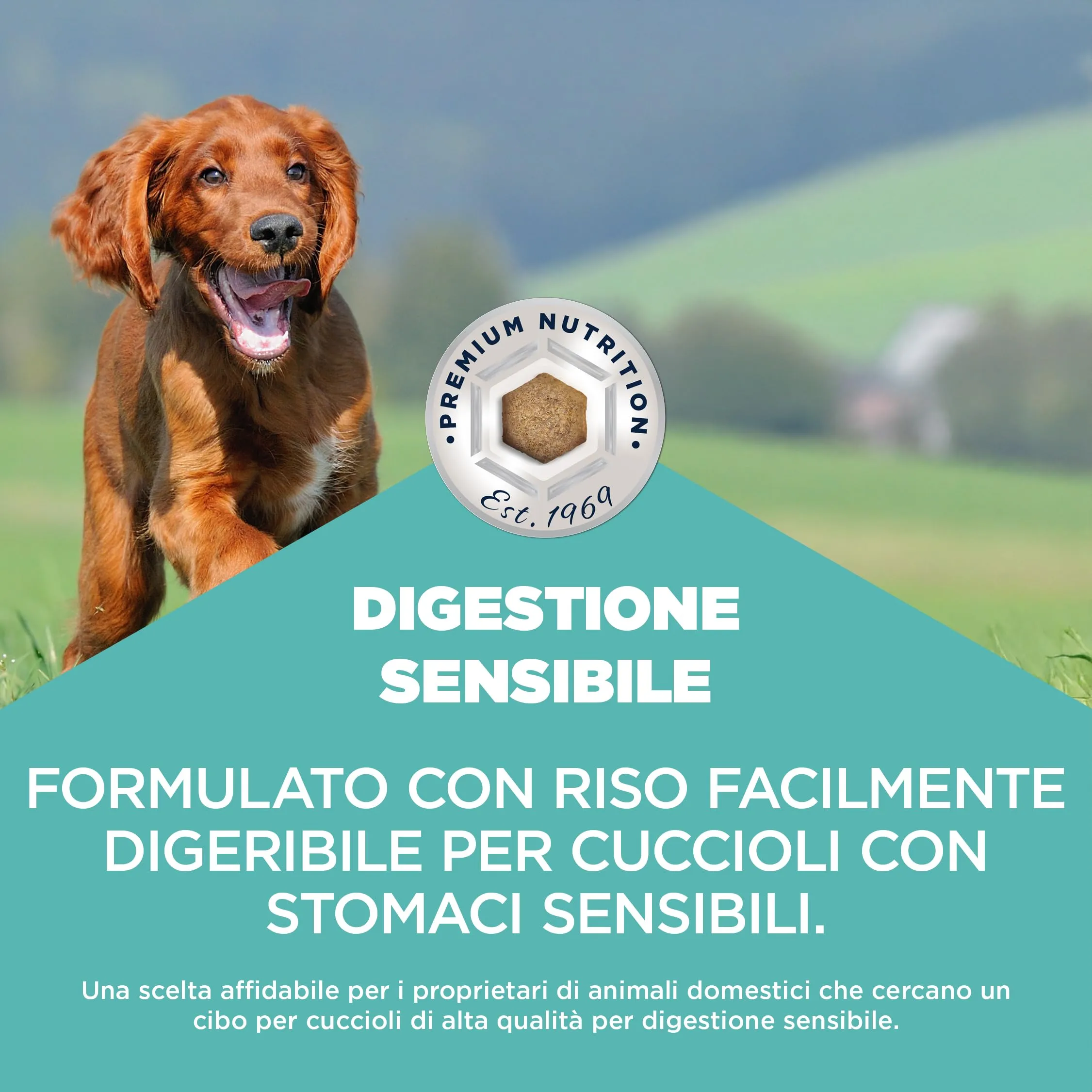 EUKANUBA Sensitive Digestion - Crocchette per cucciolo, pollo e riso, 12 kg - immagine 3