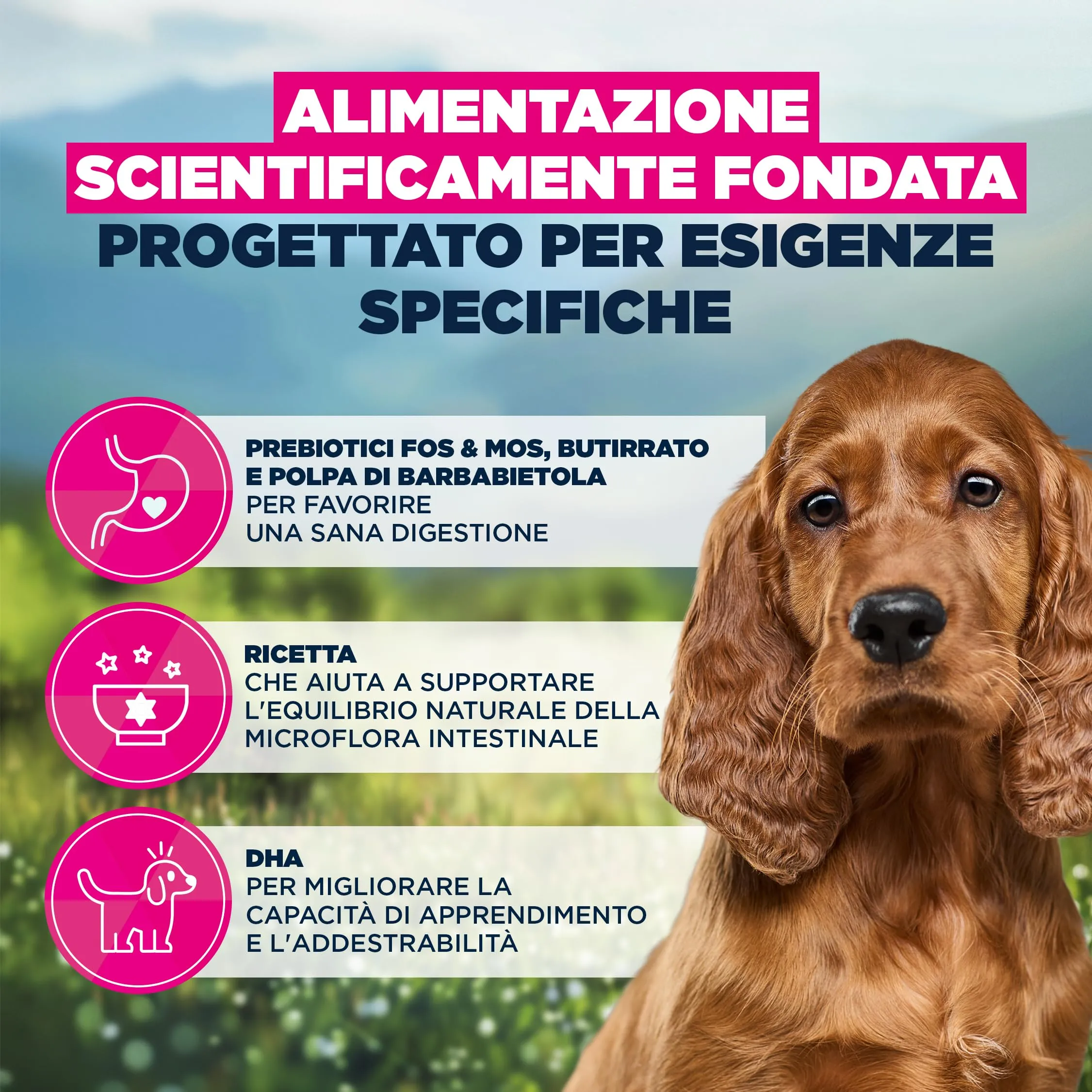 EUKANUBA Sensitive Digestion - Crocchette per cucciolo, pollo e riso, 12 kg - immagine 5