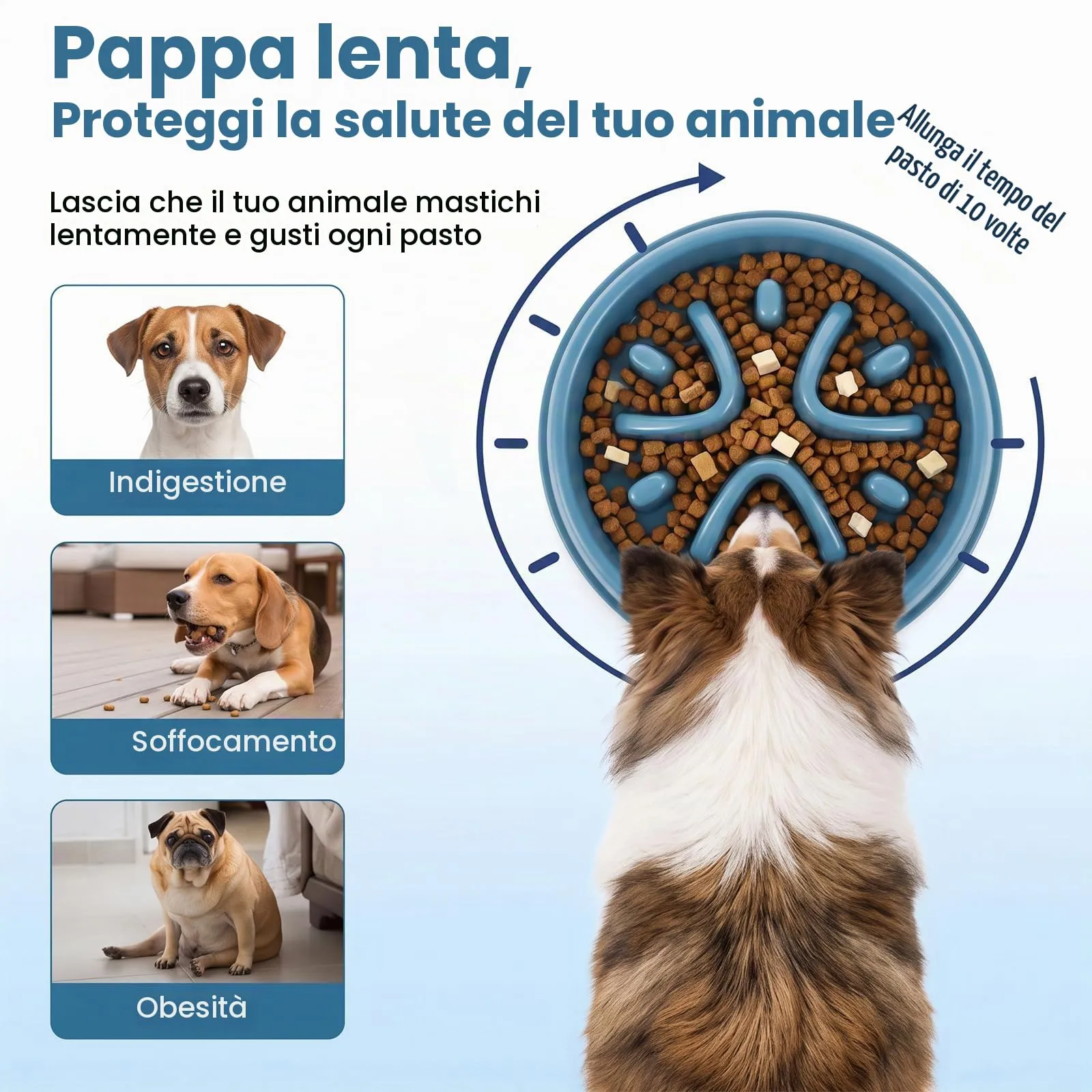 Romon Ciotola Anti Ingozzamento, Blu Ciotola Anti Ingozzamento Gatto, Ciotola Per Cani Anti Ingozzamento con labirinto design divertente - per una digestione sana (21x4,5cm) - immagine 5
