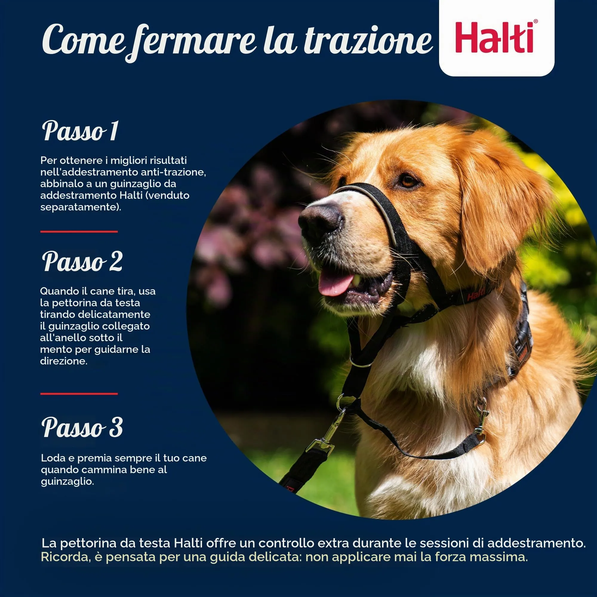 Collare a cavezza Halti | Taglia 3, Nero - immagine 4
