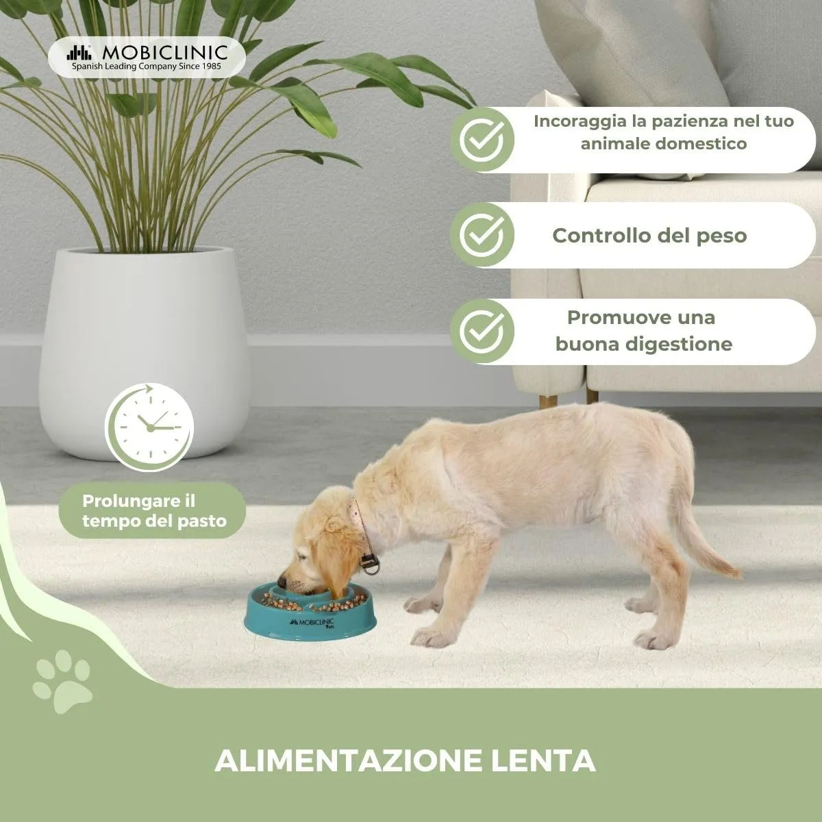 Mobiclinic®, Ciotola anti ingozzamento, per Cani, Antiscivolo, Forma a Spirale, 21 x 4,5 cm, Benessere Digestivo, 500 ml, Facile da Pulire, Resistente e Durevole, Gatti, Animali Domestici - immagine 3