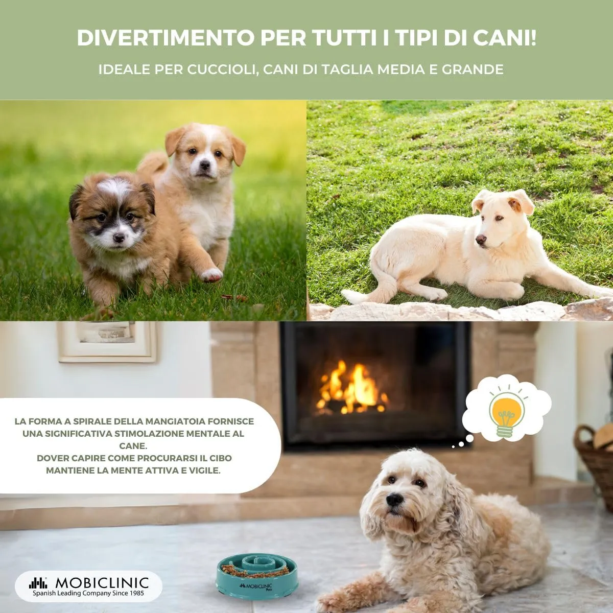 Mobiclinic®, Ciotola anti ingozzamento, per Cani, Antiscivolo, Forma a Spirale, 21 x 4,5 cm, Benessere Digestivo, 500 ml, Facile da Pulire, Resistente e Durevole, Gatti, Animali Domestici - immagine 6