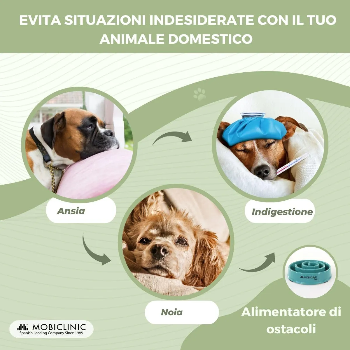 Mobiclinic®, Ciotola anti ingozzamento, per Cani, Antiscivolo, Forma a Spirale, 21 x 4,5 cm, Benessere Digestivo, 500 ml, Facile da Pulire, Resistente e Durevole, Gatti, Animali Domestici - immagine 8