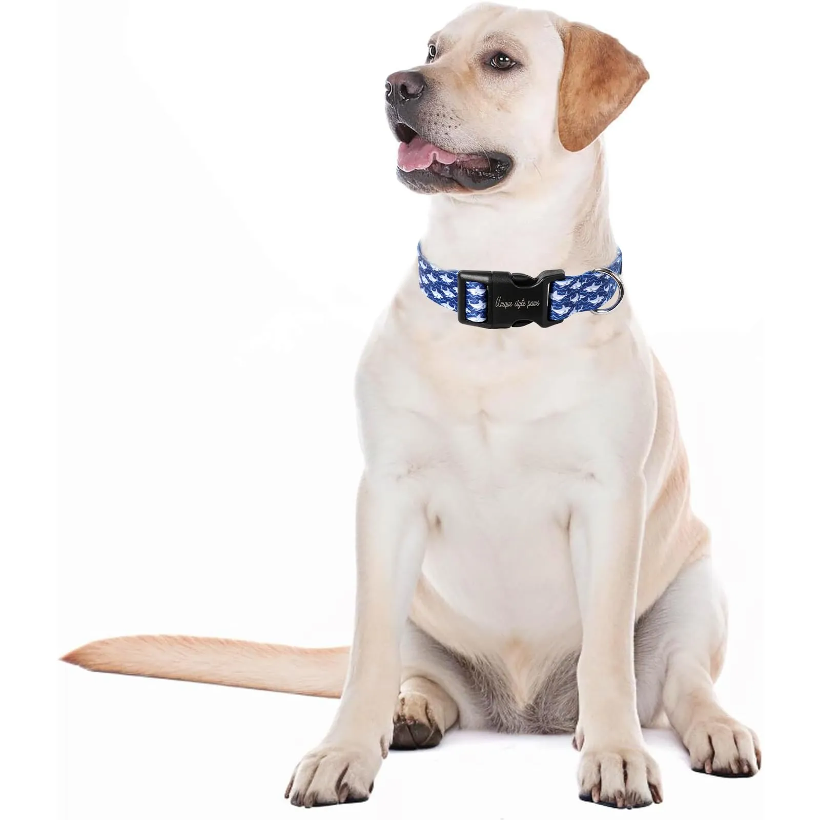 Collare per cani Unique style paws in blu per cani di taglia piccola, media e grande, con fibbia, catena, papillon, collare per cani, guinzaglio e pettorina. Accessori per cani. Regali per cani XS - immagine 6