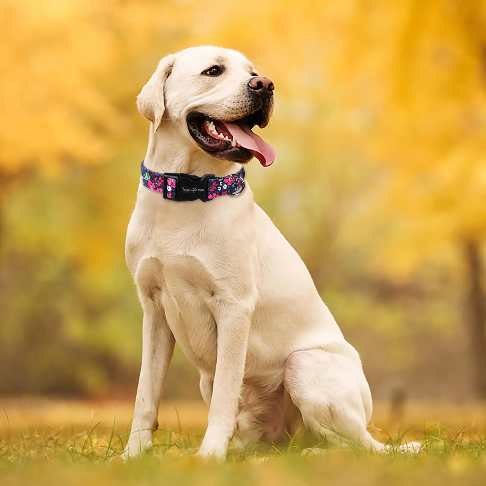 Collare per cani con fiore rosa di Unique Style Paws, imbracature, collari e guinzagli per cani, collare largo con farfalla, catena per cani, collare per cani, guinzaglio, regali per cani di taglia - immagine 5