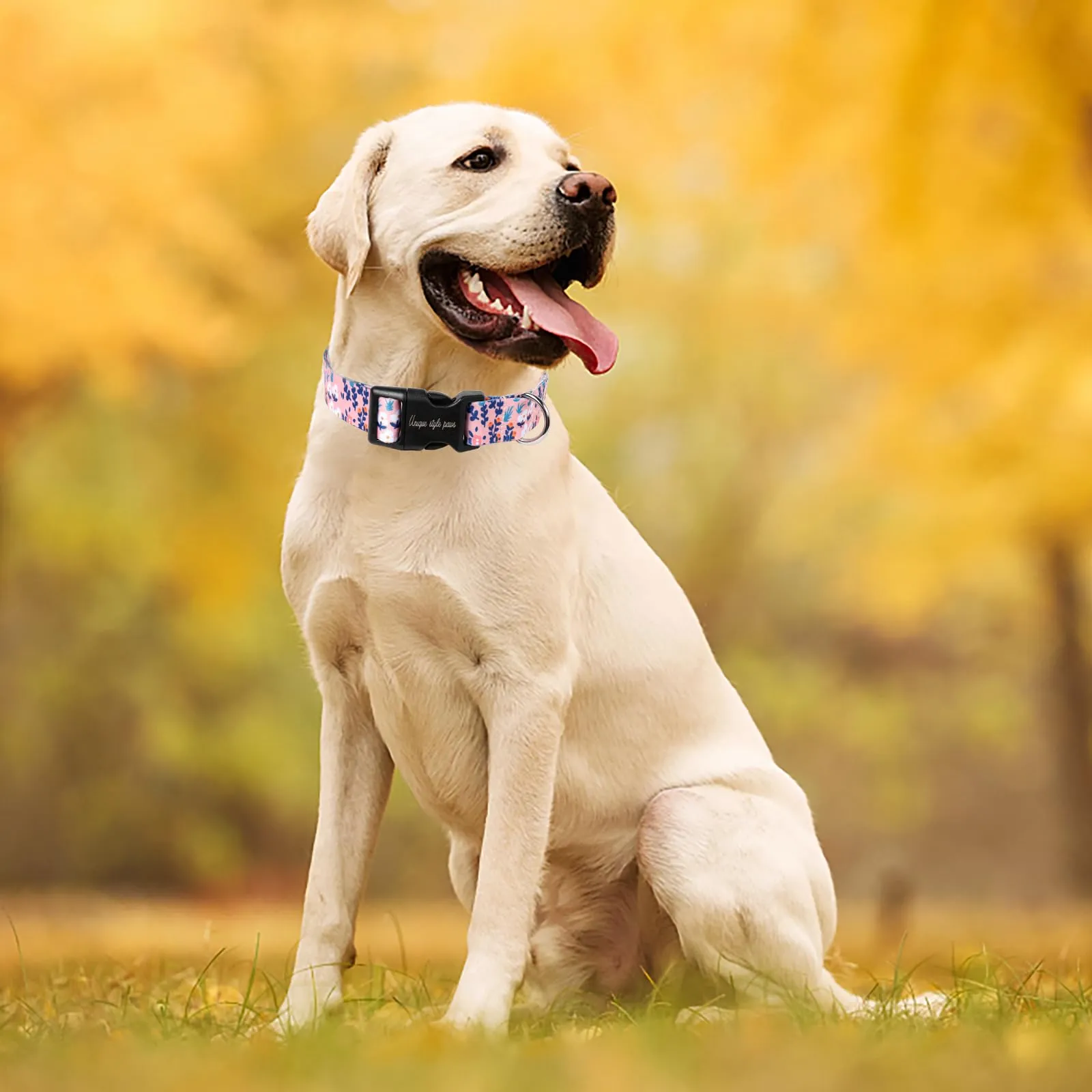 Unique Style Paws Collare e guinzaglio per cane, stile foglie blu, grande fiocco farfalla, regalo per cani piccoli, medi e grandi, taglia M - immagine 5