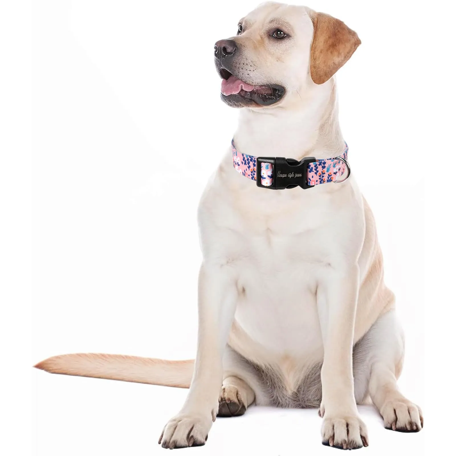 Unique Style Paws Collare e guinzaglio per cane, stile foglie blu, grande fiocco farfalla, regalo per cani piccoli, medi e grandi, taglia M - immagine 6