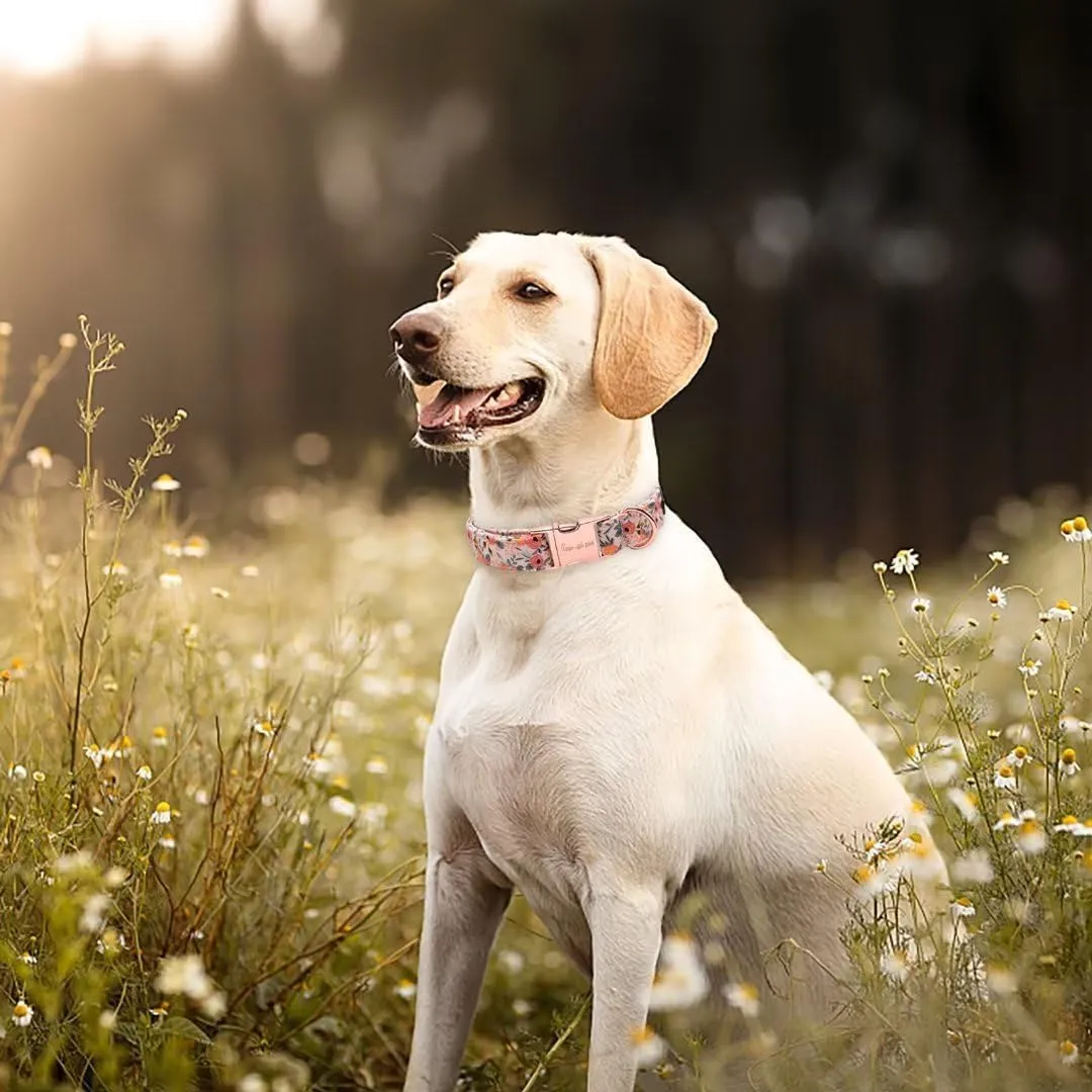Unique style paws Collare Rosa per Cani, Giubbotti, Collari e Guinzagli per Cani, Collare per Cani Breit, con Papillon, Catena, Collare per Cani, Zughalsband, Regali per Cani Piccoli, Medi, Grandi e - immagine 3
