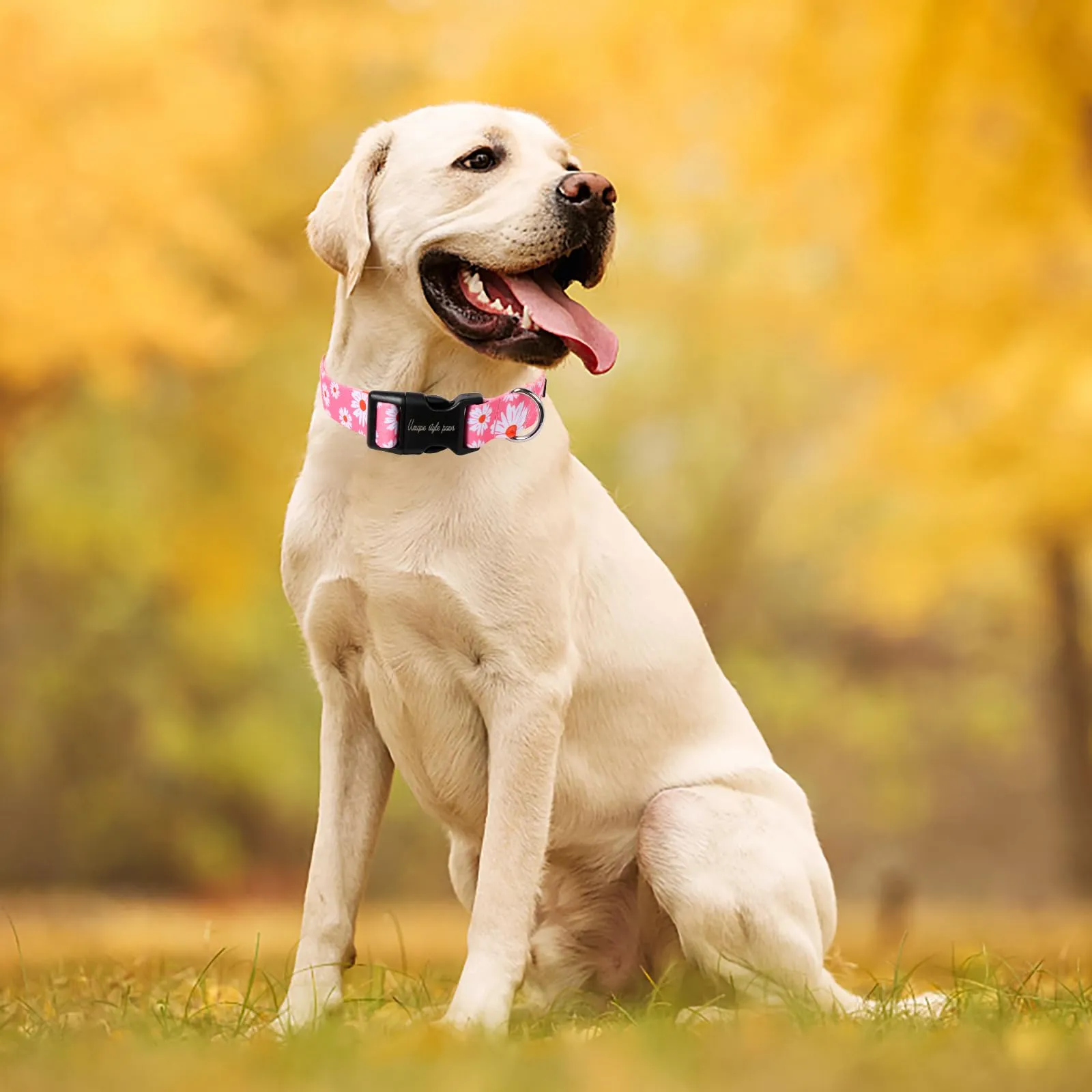 Unique style paws Collare per Cani Rosa Margherita Pettorina Collari e Guinzagli per Collare Cane Largo Papillon Catena Cane Dog Collar Collare a Strangolo Regali per Cani Piccoli Medi Grandi XS - immagine 5
