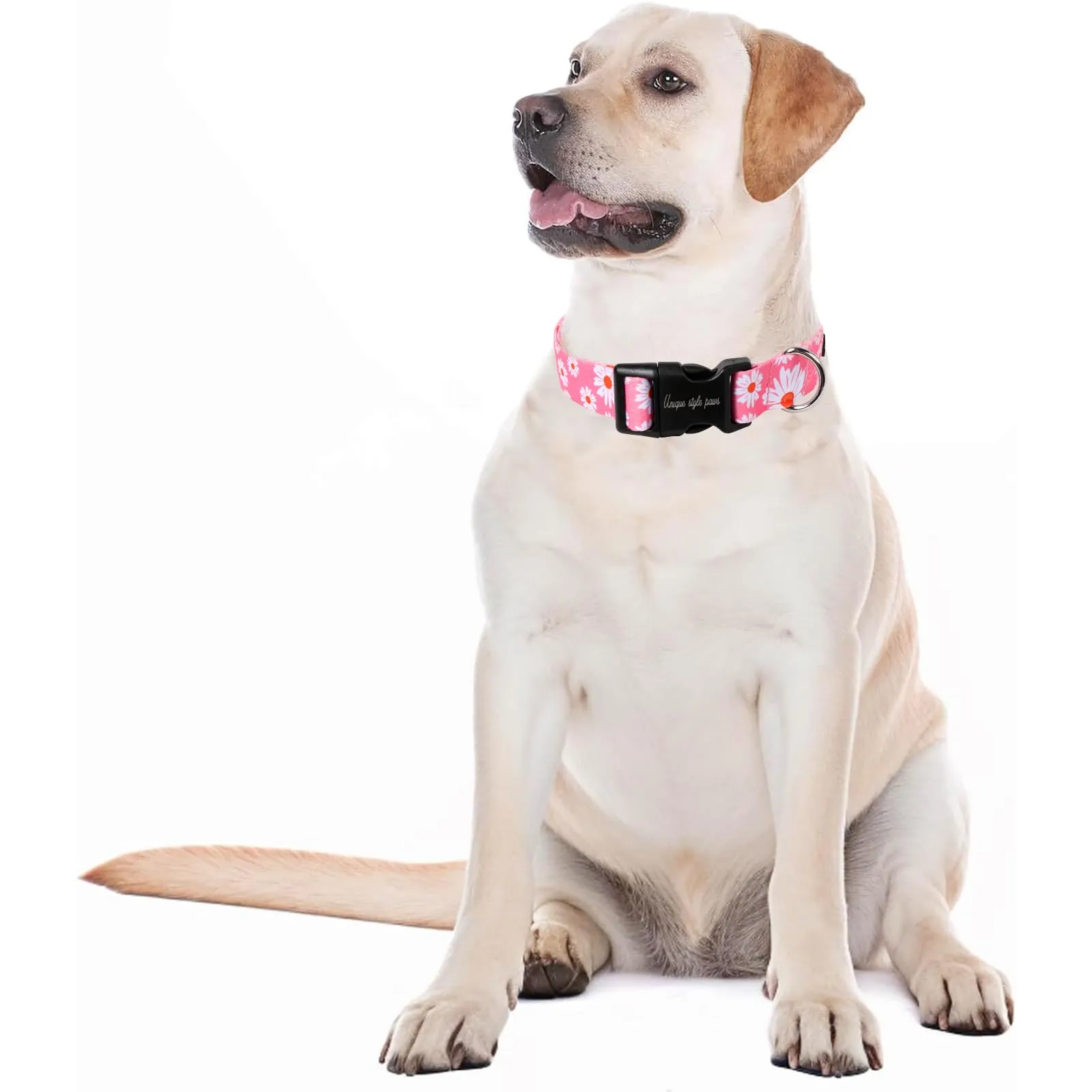 Unique style paws Collare per Cani Rosa Margherita Pettorina Collari e Guinzagli per Collare Cane Largo Papillon Catena Cane Dog Collar Collare a Strangolo Regali per Cani Piccoli Medi Grandi XS - immagine 6