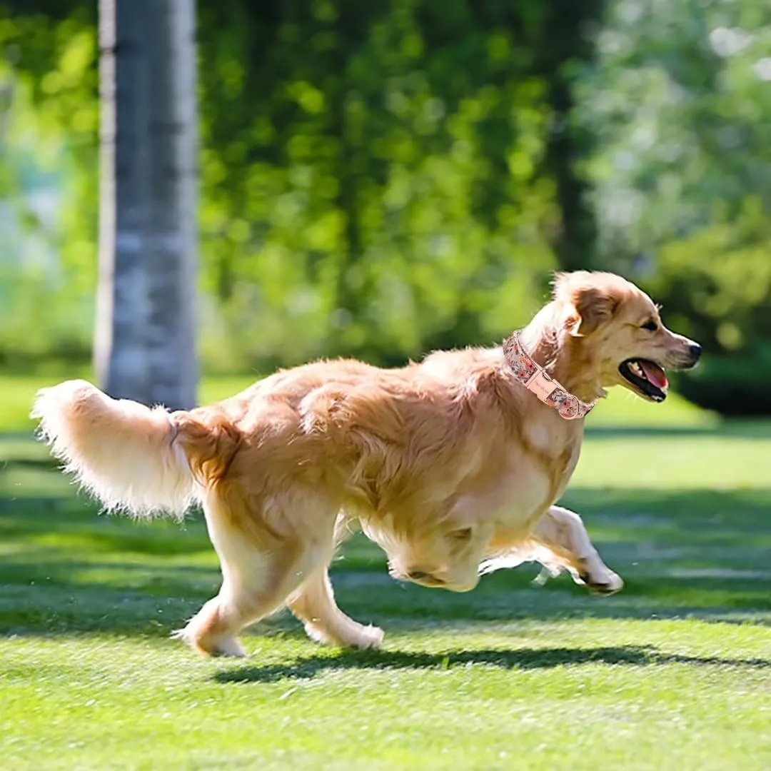 Collare per cani in rosa di Unique style paws, con fibbia, collari e guinzagli per cani, collare per cani, catena con farfalla, collare per cani, collare a trazione, regali per cani di taglia piccola - immagine 4