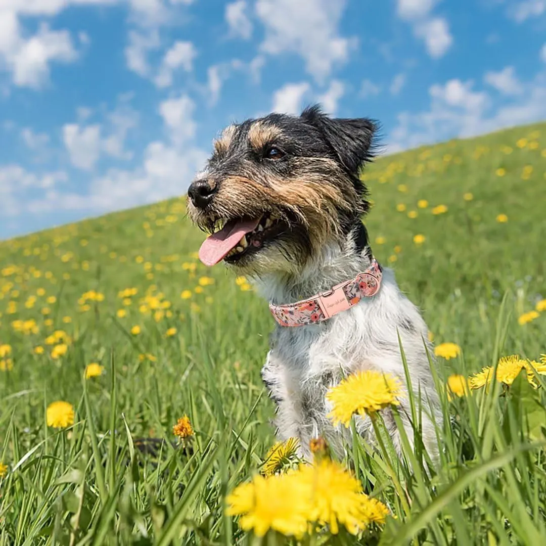 Collare per cani in rosa di Unique style paws, con fibbia, collari e guinzagli per cani, collare per cani, catena con farfalla, collare per cani, collare a trazione, regali per cani di taglia piccola - immagine 5