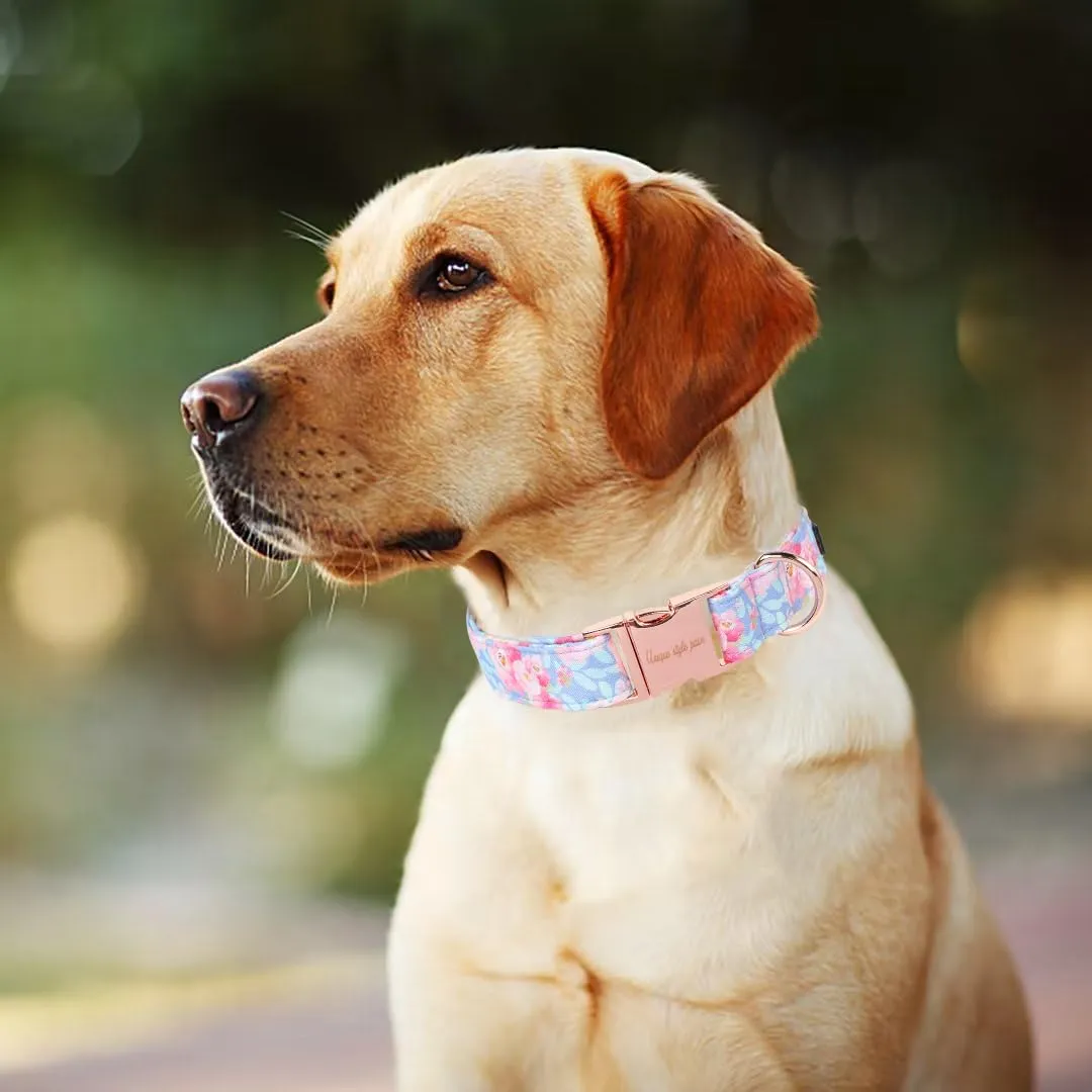Unique style paws Collare estivo per cani blu imbracatura collari e guinzagli per collare rosa fiore cane catena larga collare per cani collare a strozzo regali per cani di piccola taglia medi grandi - immagine 4