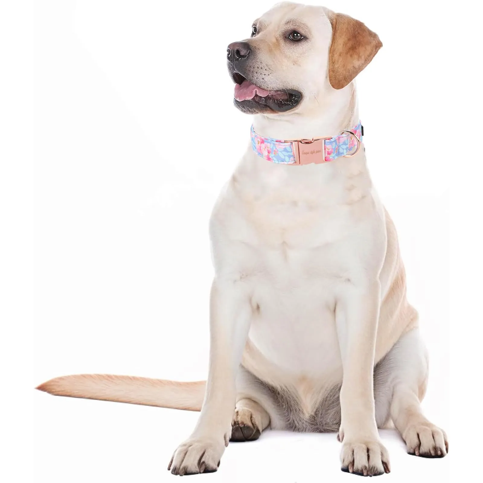 Unique style paws Collare estivo per cani blu imbracatura collari e guinzagli per collare rosa fiore cane catena larga collare per cani collare a strozzo regali per cani di piccola taglia medi grandi - immagine 5