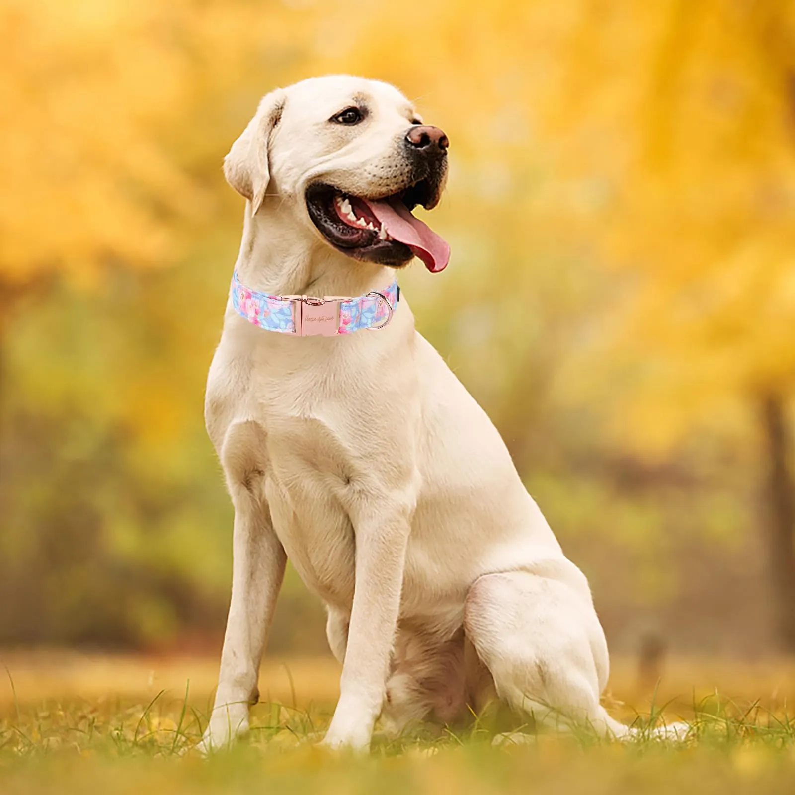 Unique style paws Collare estivo per cani blu imbracatura collari e guinzagli per collare rosa fiore cane catena larga collare per cani collare a strozzo regali per cani di piccola taglia medi grandi - immagine 6