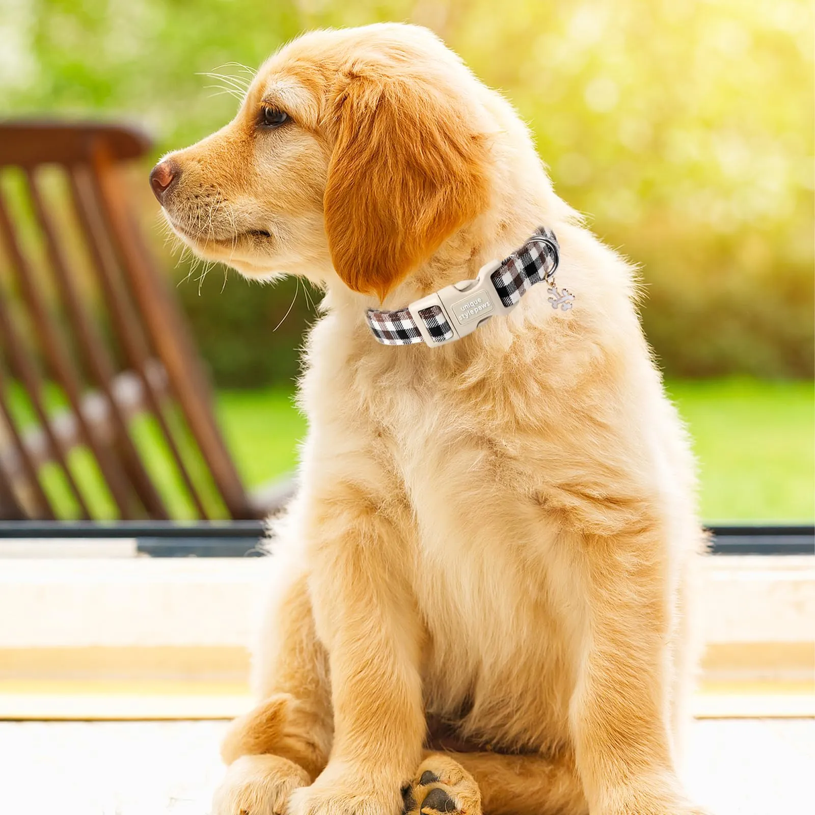 Unique Style Paws Collare con Chiusura Rapida - Marrone a Quadri Regalo per Cani di Piccola, Media e Grande Taglia - Resistente e Carino - immagine 5