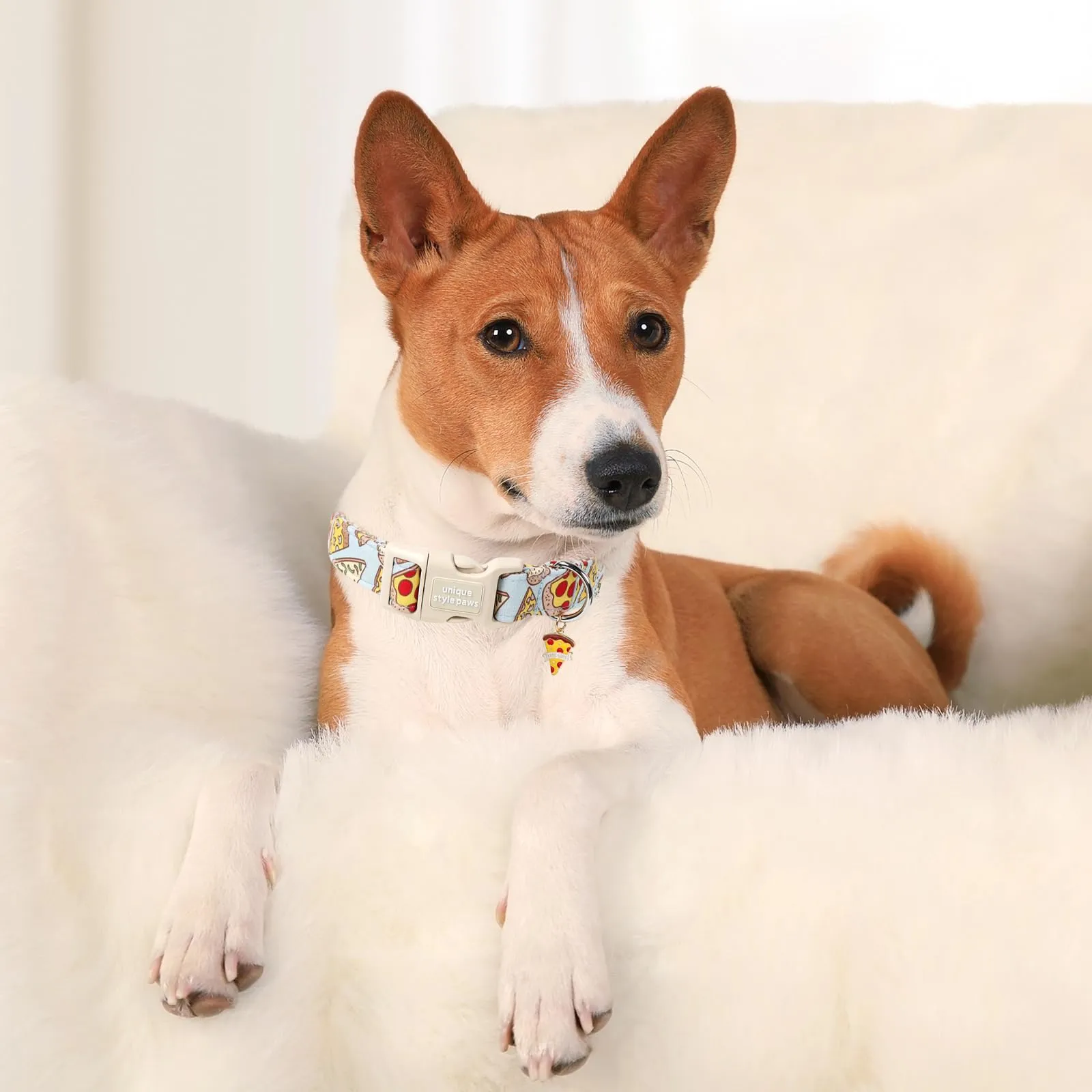 Unique Style Paws Collare di cotone con pizza e chiusura rapida - resistente, carino per cani di piccola, media e grande taglia, maschi e femmine, regalo - immagine 5