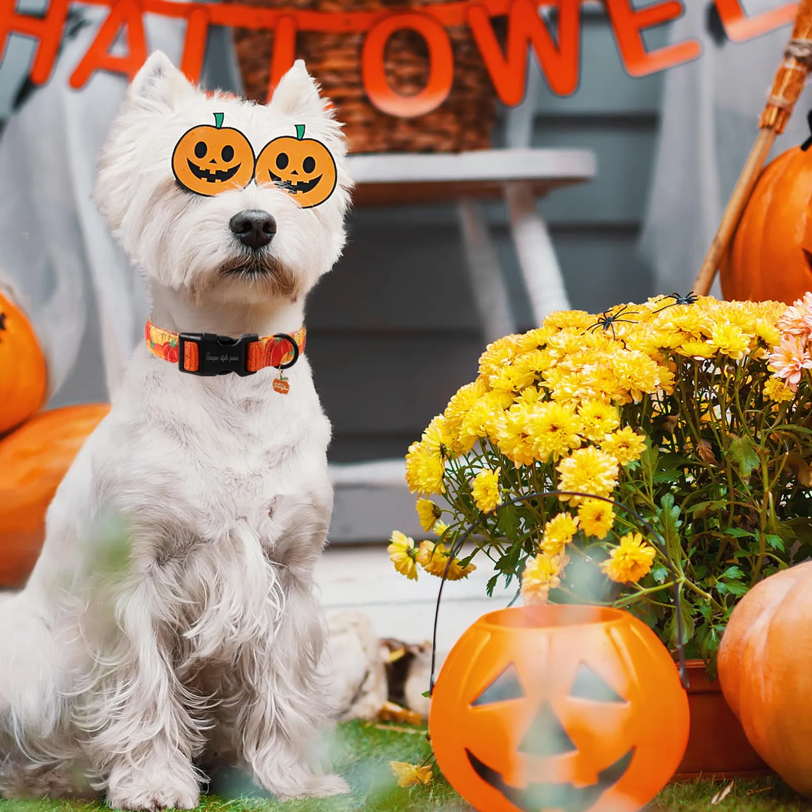 Unique style paws Collare per cani di Halloween, adorabile collare a forma di zucca con chiusura rapida in fibbia di plastica, comodo collare in cotone per cani maschi e femmine - immagine 6