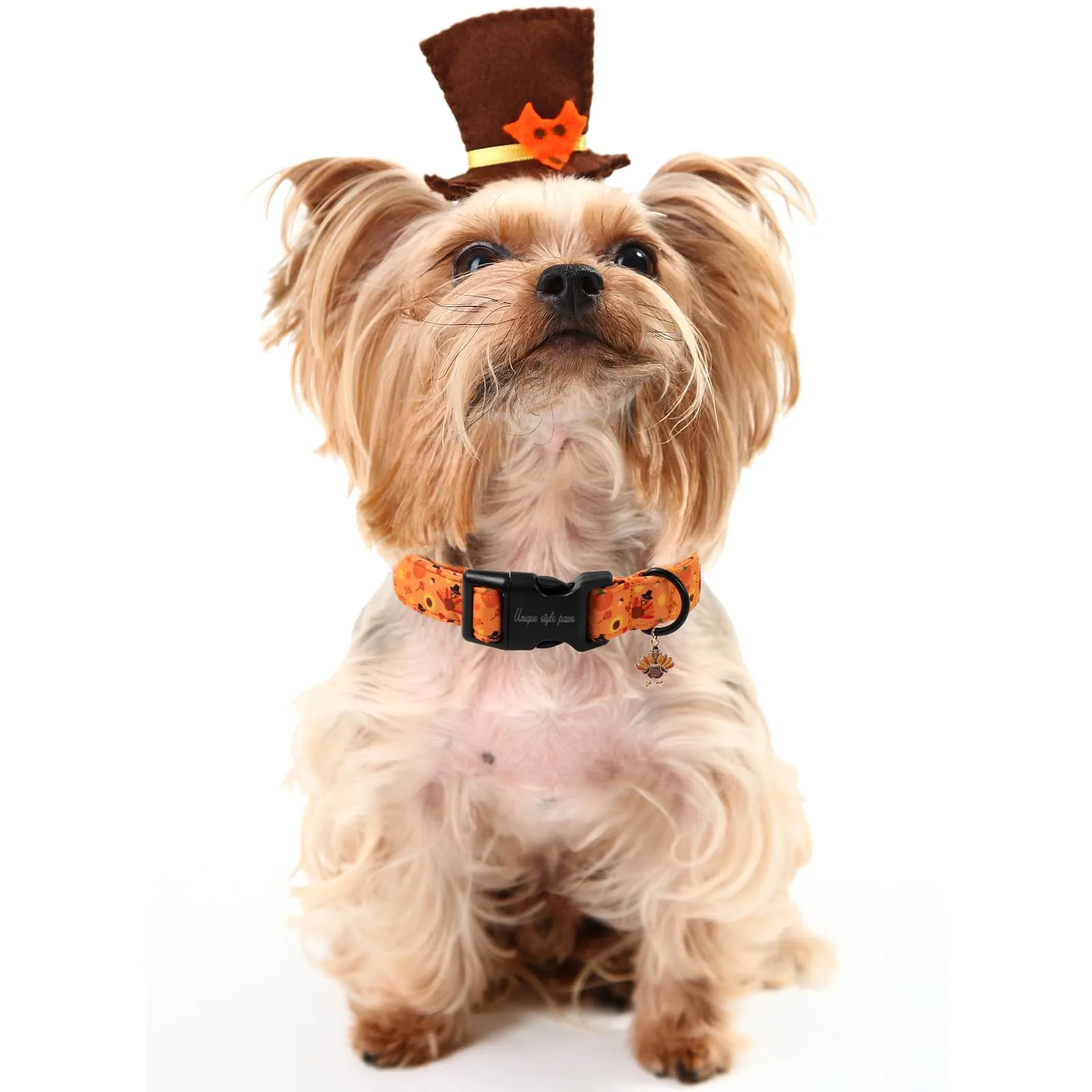 Unique style paws Collare di Halloween per cani, adorabile collare a forma di zucca con chiusura rapida in plastica, comodo collare in cotone per cani maschi e femmine - immagine 4
