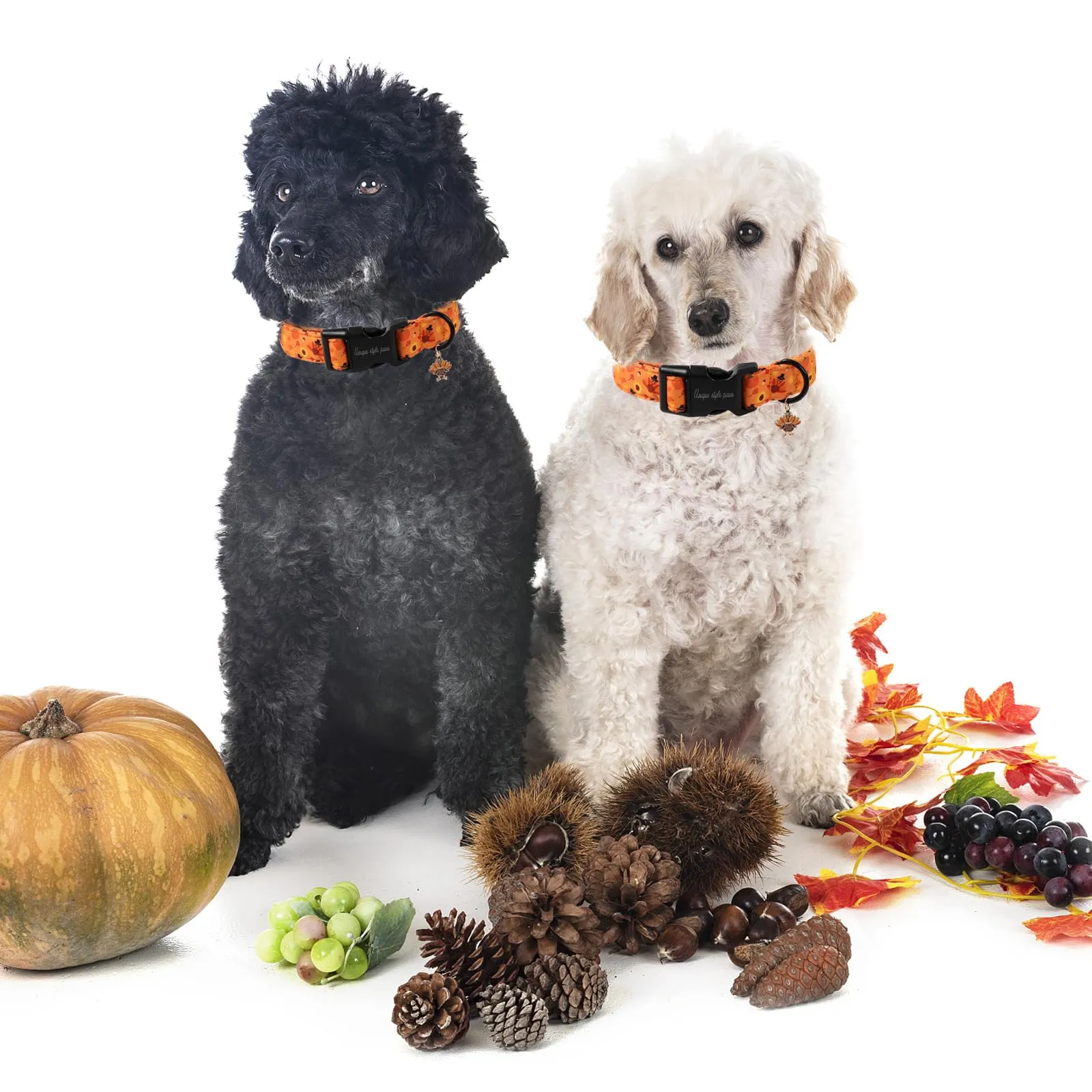 Unique style paws Collare di Halloween per cani, adorabile collare a forma di zucca con chiusura rapida in plastica, comodo collare in cotone per cani maschi e femmine - immagine 5