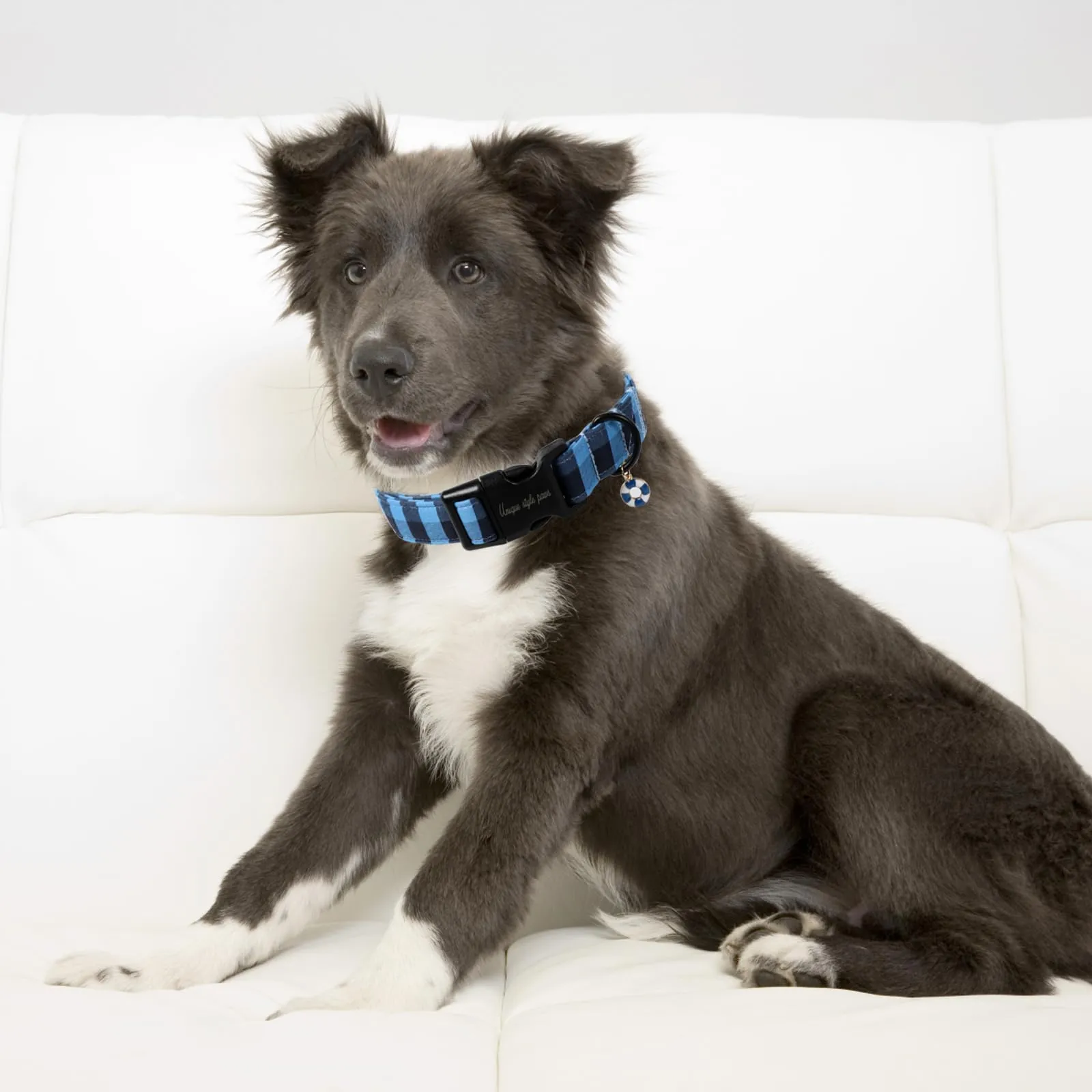 Unique Style Paws Collare per cani, Collare a quadri con chiusura rapida in fibbia di plastica, comodo collare in cotone per cani maschi e femmine - immagine 5