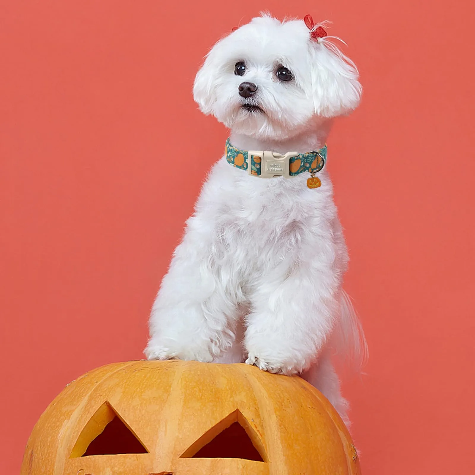 Unique Style Paws Collare per cani di Halloween, grazioso collare per cani a forma di zucca con fibbia in plastica a sgancio rapido, comodo collare in cotone verde per cani maschi e femmine - immagine 4