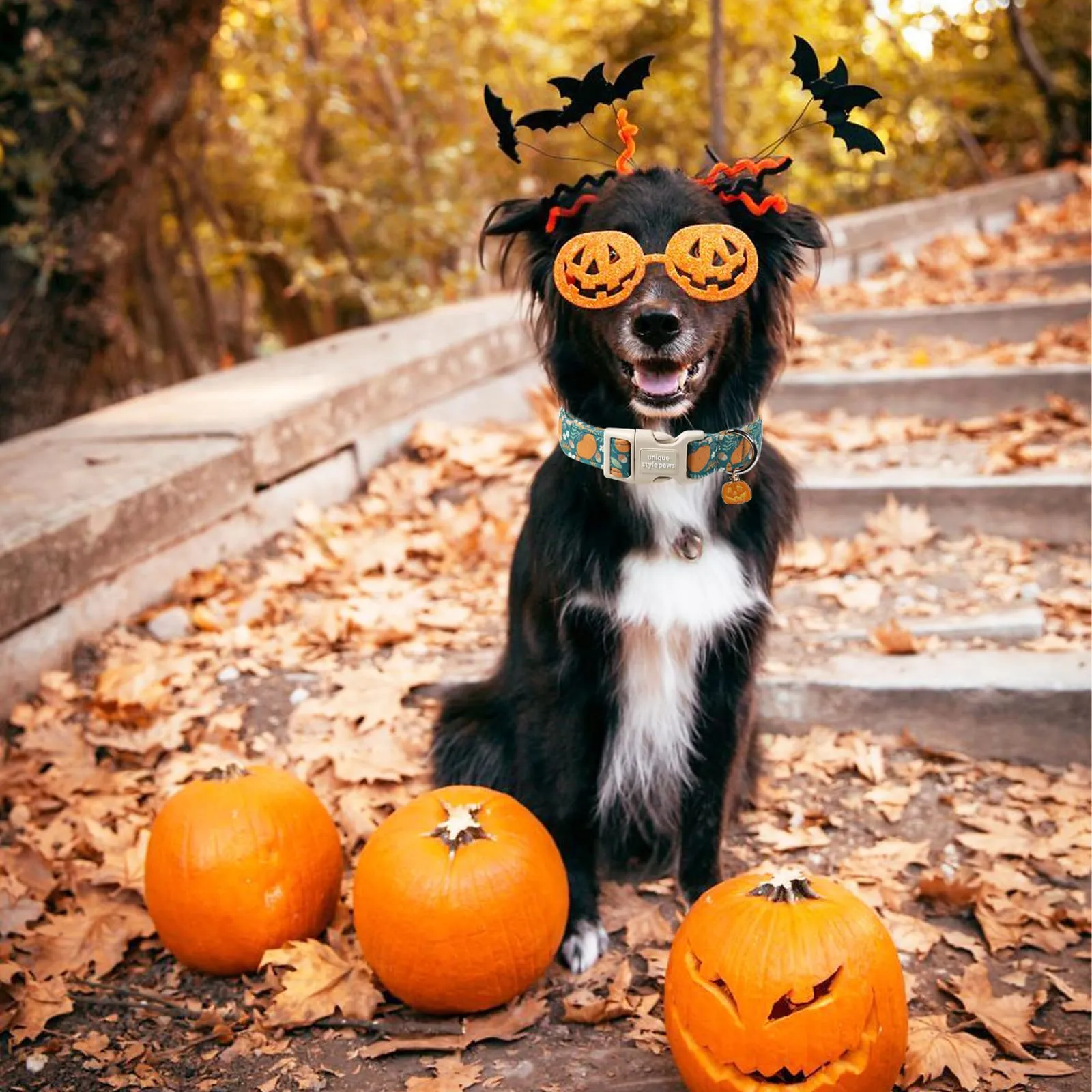 Unique Style Paws Collare per cani di Halloween, grazioso collare per cani a forma di zucca con fibbia in plastica a sgancio rapido, comodo collare in cotone verde per cani maschi e femmine - immagine 5