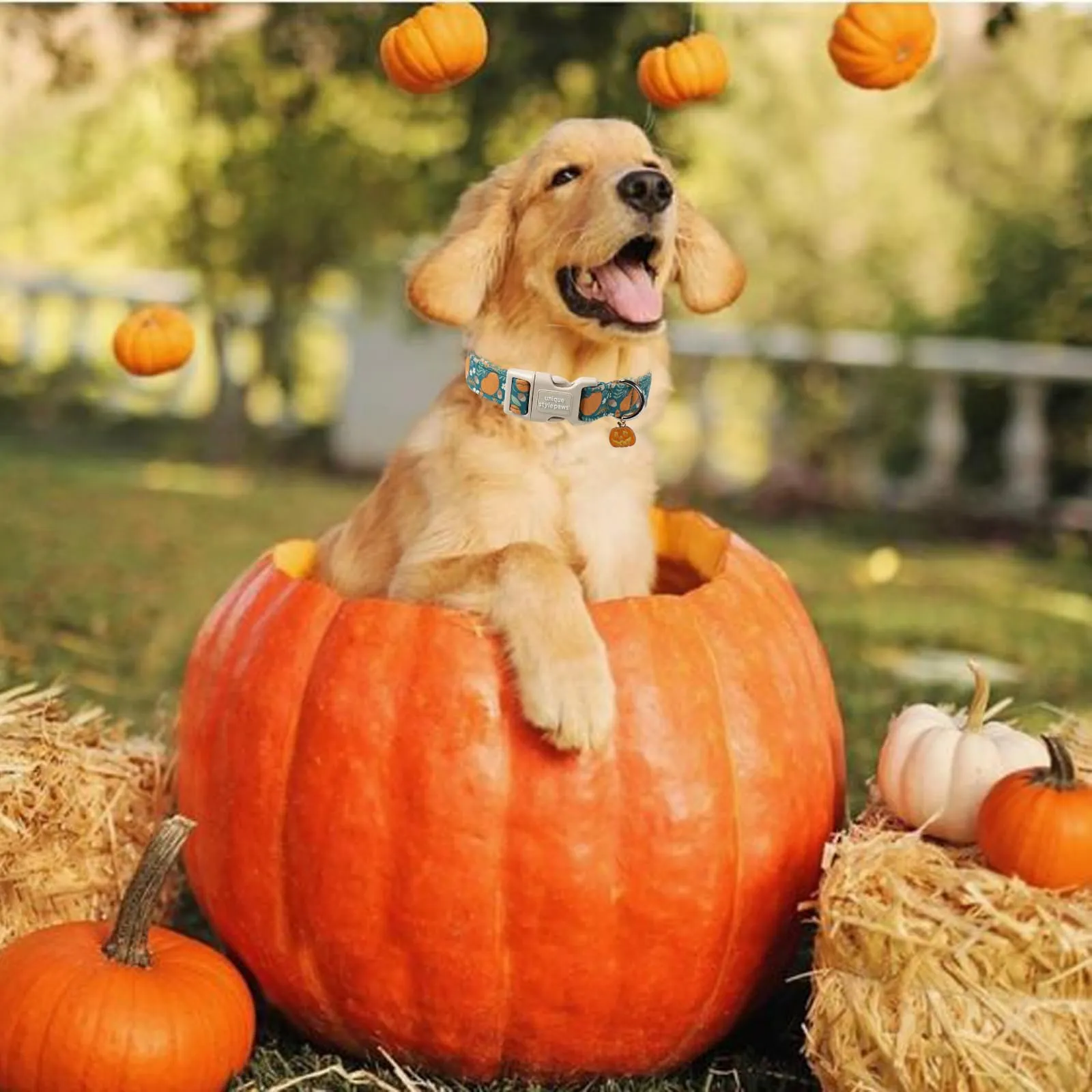 Unique Style Paws Collare per cani di Halloween, grazioso collare per cani a forma di zucca con fibbia in plastica a sgancio rapido, comodo collare in cotone verde per cani maschi e femmine - immagine 6