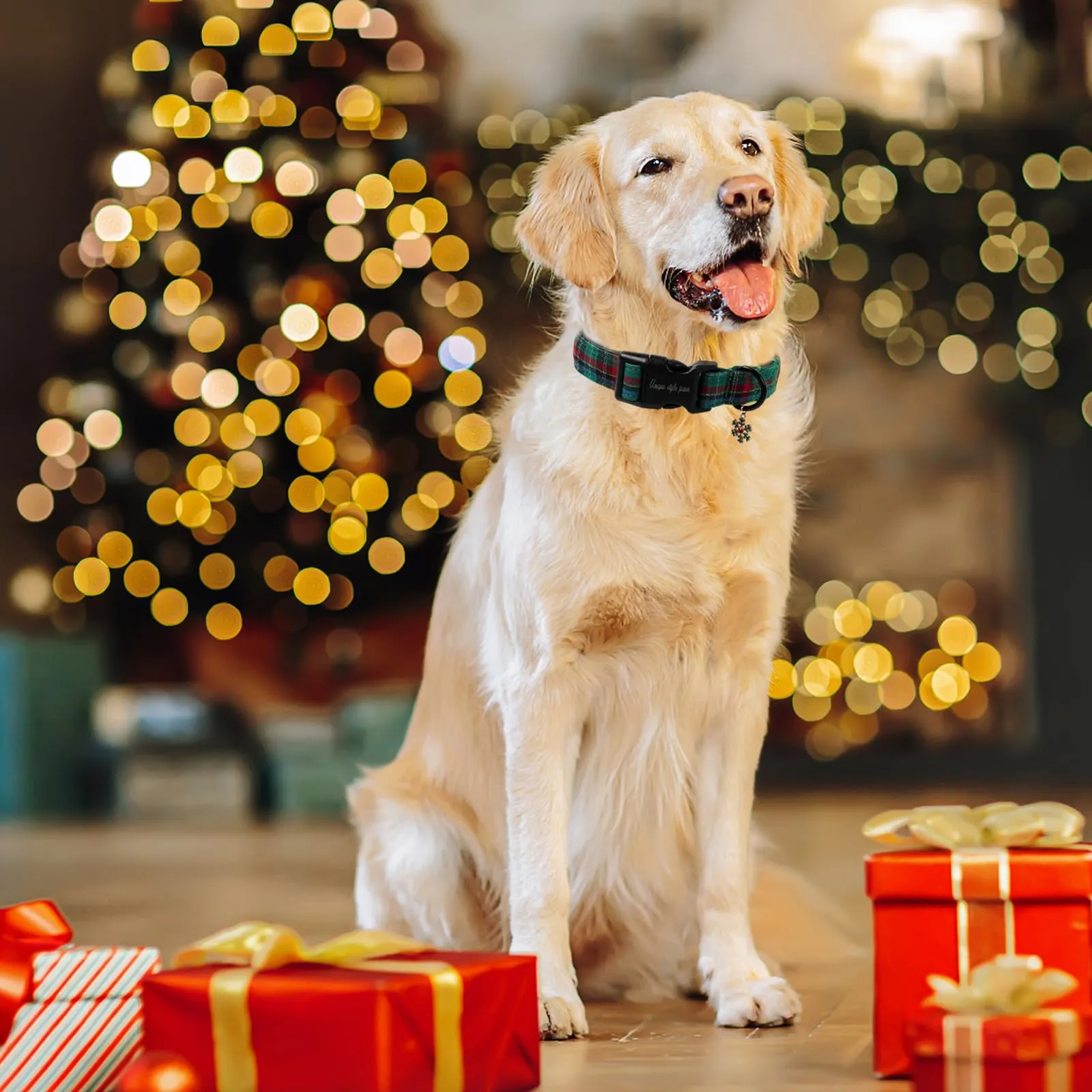 Collare per Cani Unique Style Paws con Rilascio Rapido in Cotone, Collare Colorato con Fiori, Regalo, Collare Durevole e Carino per Cani Piccoli, Medi e Grandi, Maschio e Femmina - immagine 4