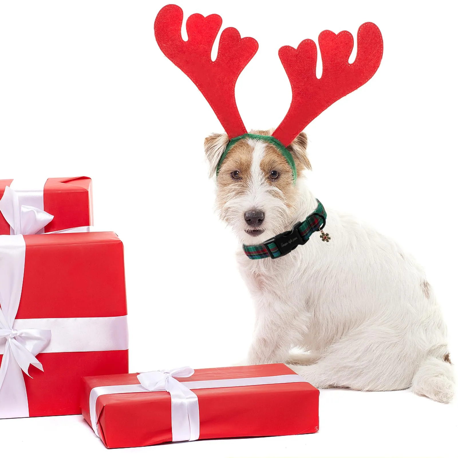 Collare per Cani Unique Style Paws con Rilascio Rapido in Cotone, Collare Colorato con Fiori, Regalo, Collare Durevole e Carino per Cani Piccoli, Medi e Grandi, Maschio e Femmina - immagine 6