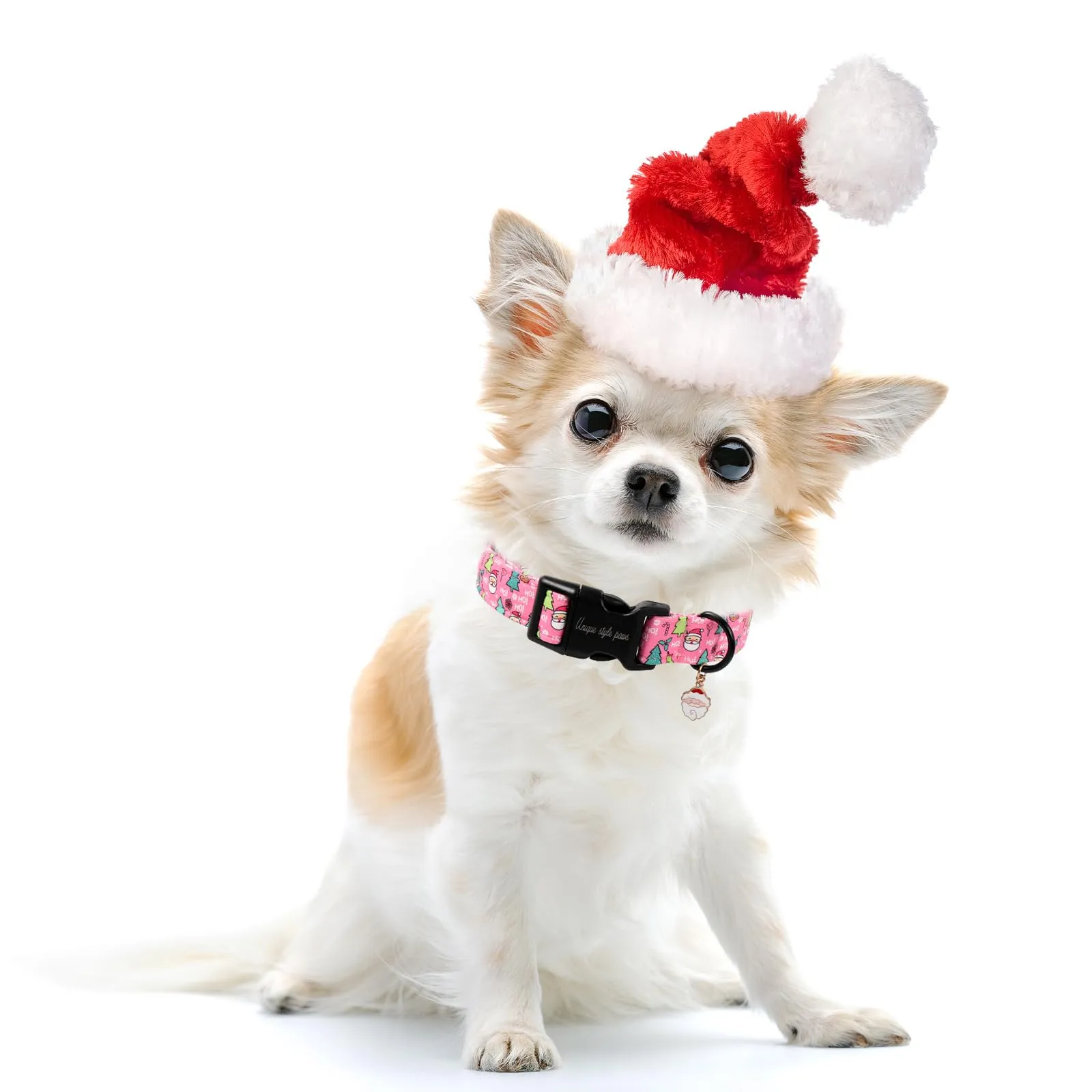 Unique style paws Collare per cani - immagine 5