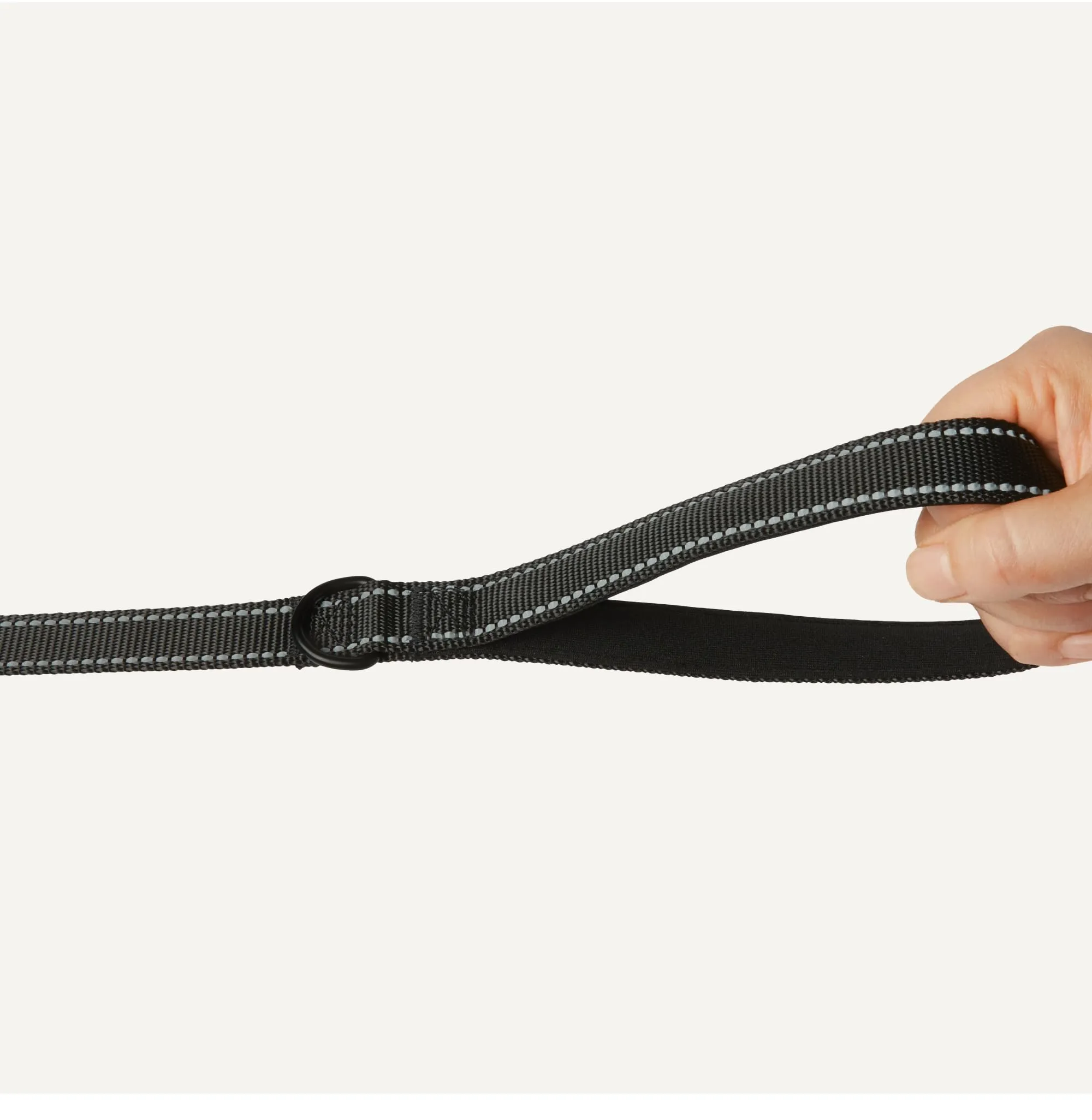 Amazon Basics Guinzaglio per Cani con Due Maniglie Imbottite e Anello a D, 1,2 m - immagine 3