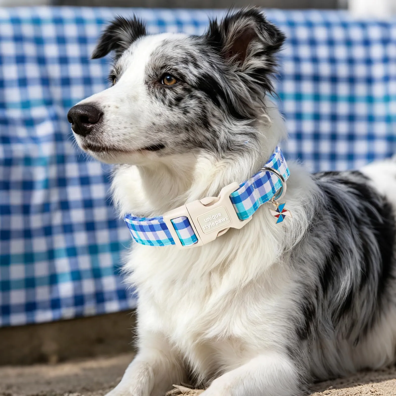 Unique Style Paws Collare per cani in cotone a quadri blu con ciondolo a forma di mulino a vento, collare regolabile con sgancio rapido e robusto anello a D per cani di taglia piccola, media e grande - immagine 5