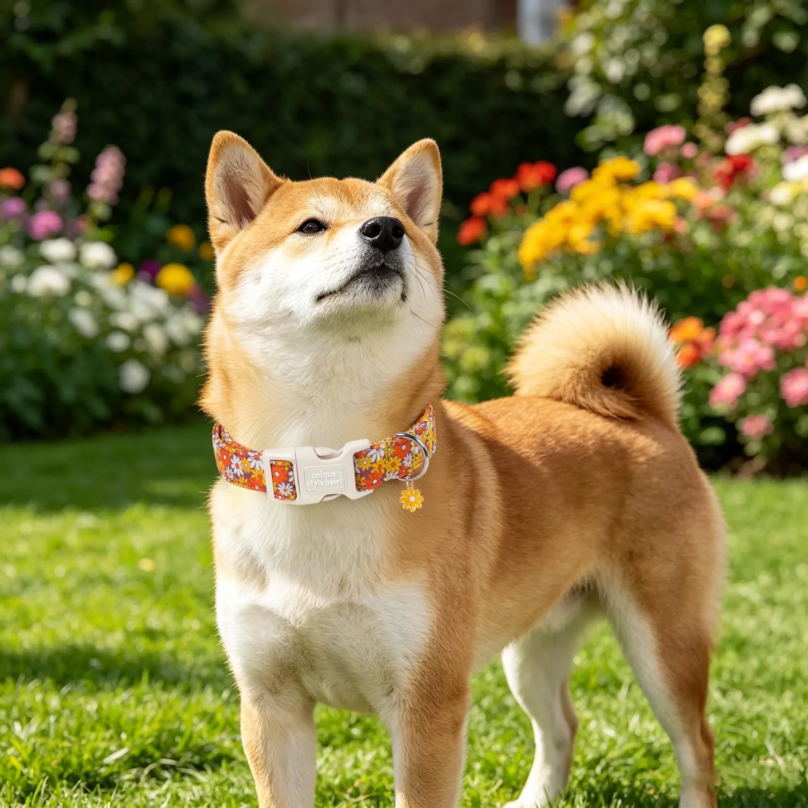 Unique Style Paws Collare per cani in cotone con ciondolo a fiore, collare regolabile per cani con sgancio rapido e robusto anello a D, motivo floreale arancione per cani di taglia piccola - immagine 5