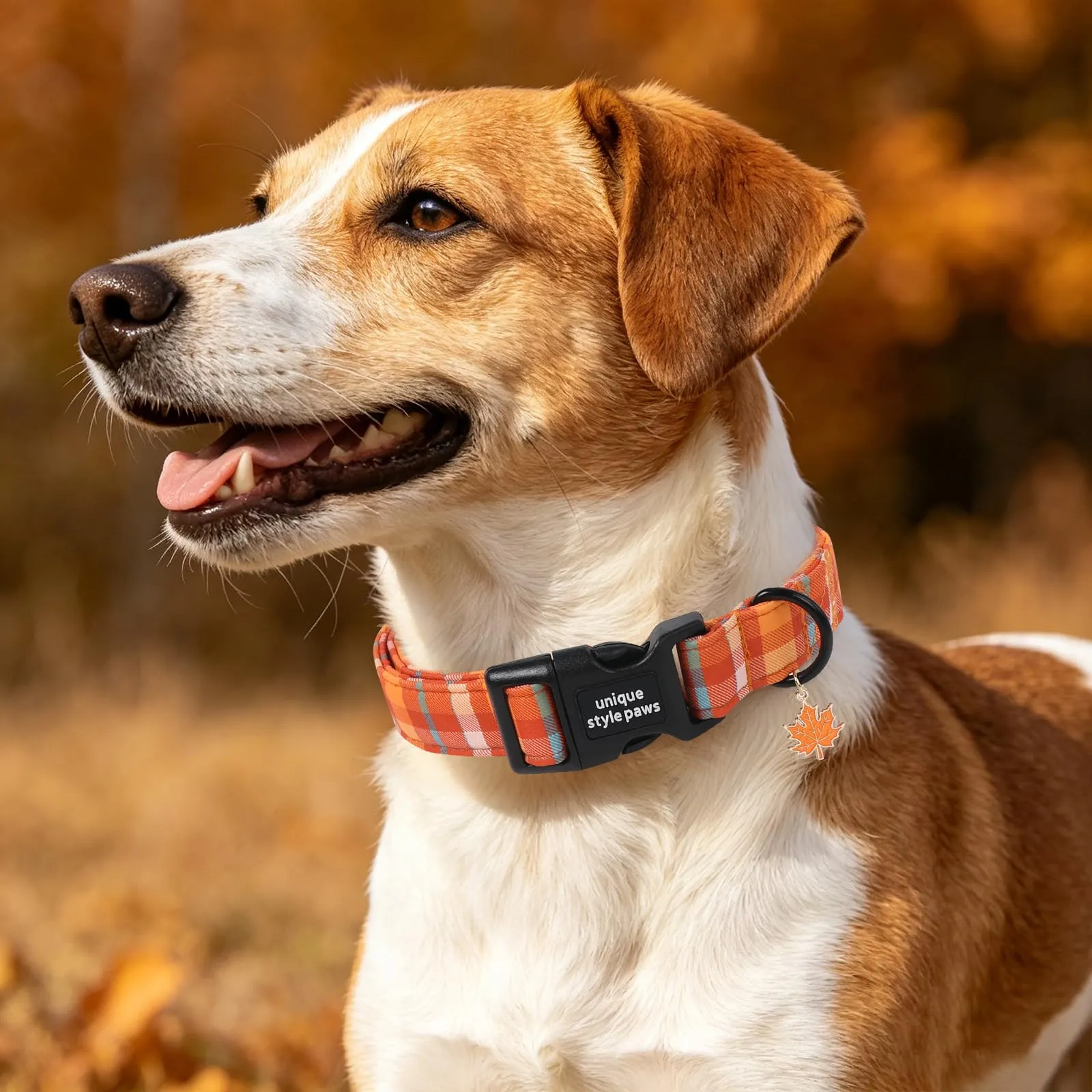 Unique Style Paws Collare per cani in cotone a quadri con ciondolo a forma di foglia d'acero, collare per cani regolabile con sgancio rapido e robusto anello a D per cani di taglia piccola - immagine 5