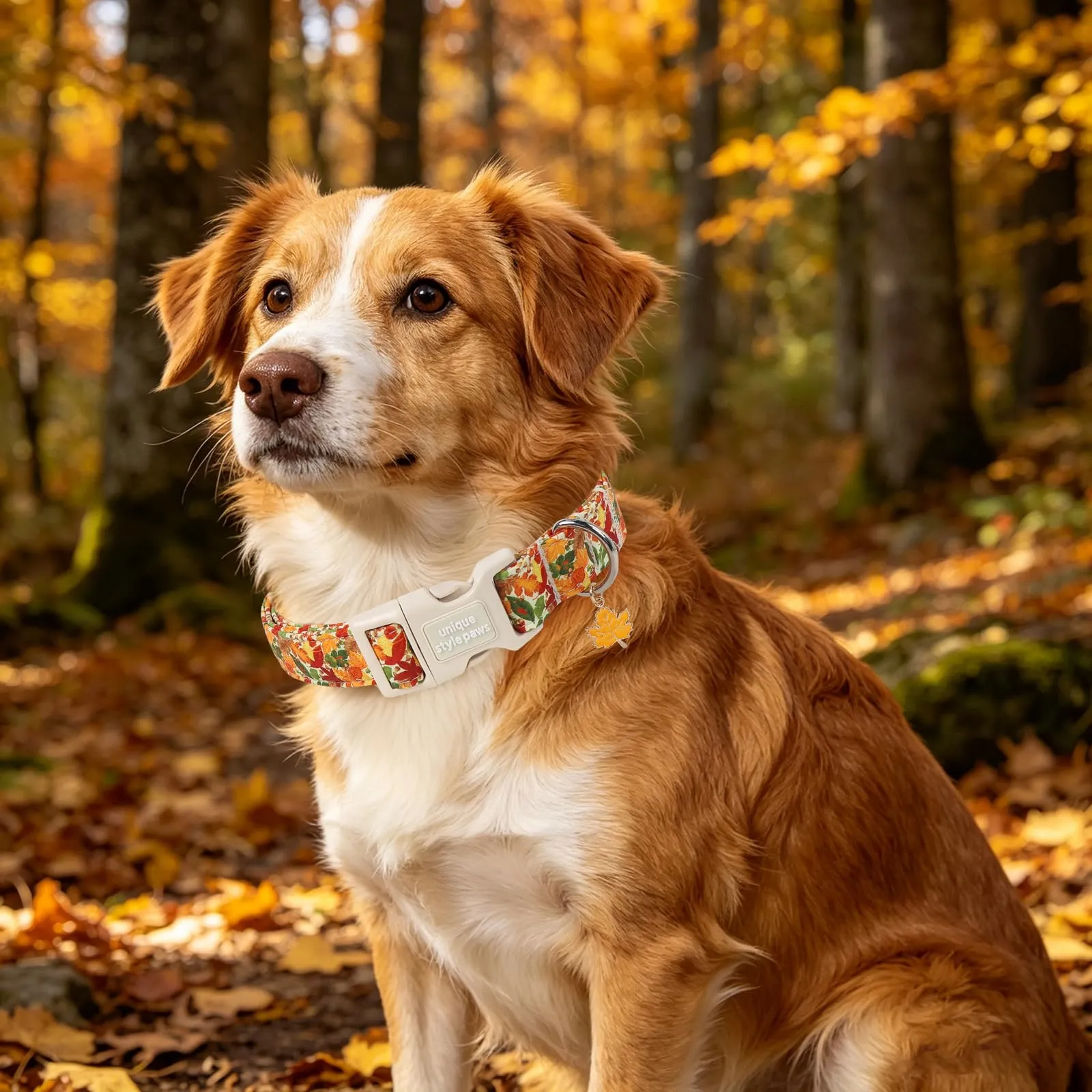 Unique Style Paws Collare autunnale in cotone per cani, regolabile con ciondolo a forma di foglia d'acero, sgancio rapido, robusto anello a D, collare per cani con foglie autunnali per cani di taglia - immagine 5