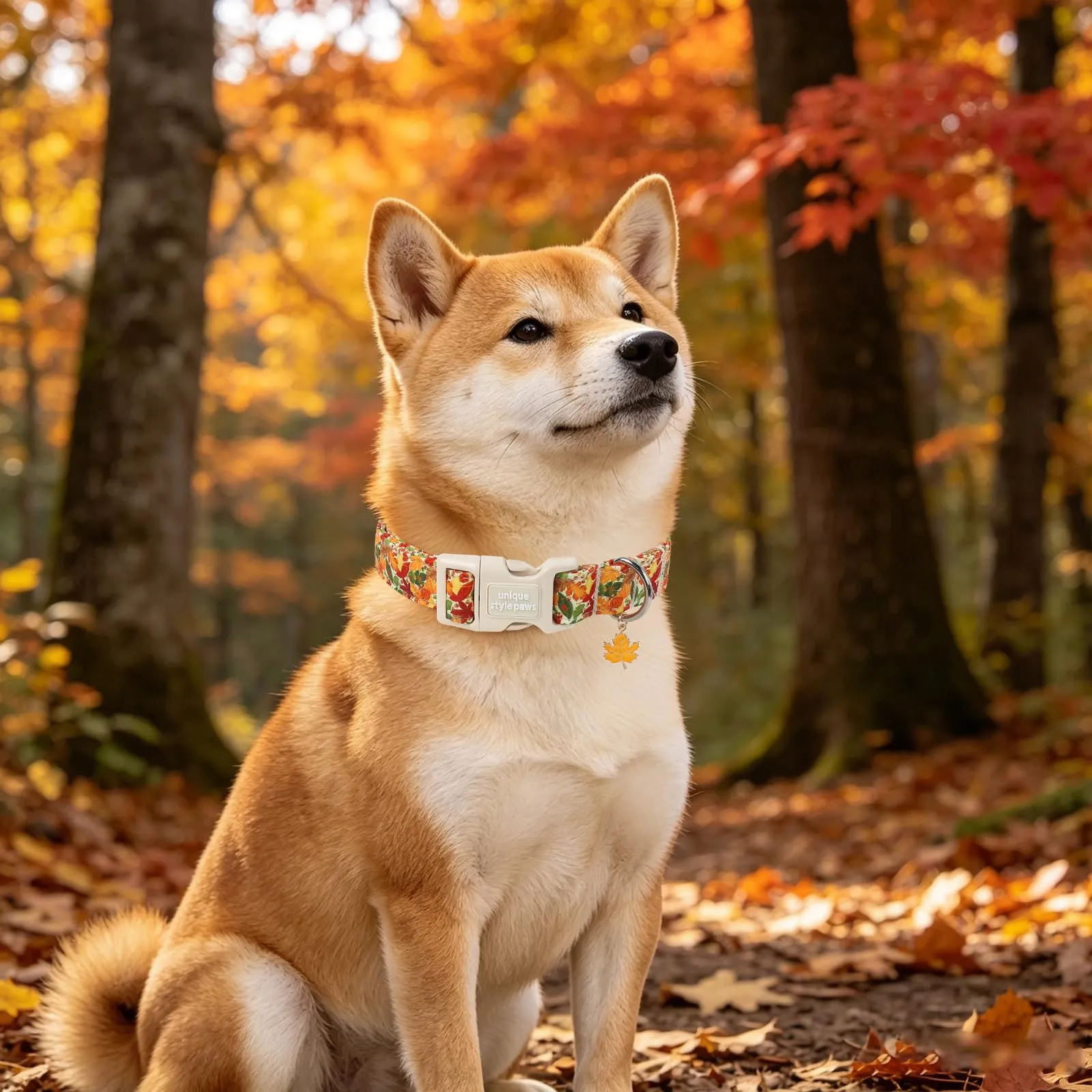 Unique Style Paws Collare autunnale in cotone per cani, regolabile con ciondolo a forma di foglia d'acero, sgancio rapido, robusto anello a D, collare per cani con foglie autunnali per cani di taglia - immagine 6
