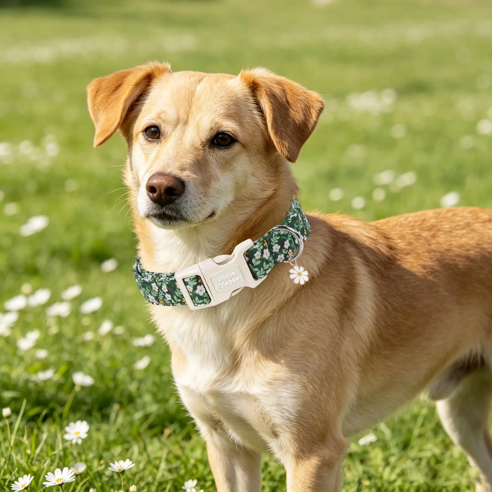 Unique Style Paws Collare per cani in cotone con fiori con ciondolo a forma di fiore, collare per cani regolabile con sgancio rapido e robusto anello a D per cani di taglia piccola, media e grande - immagine 5