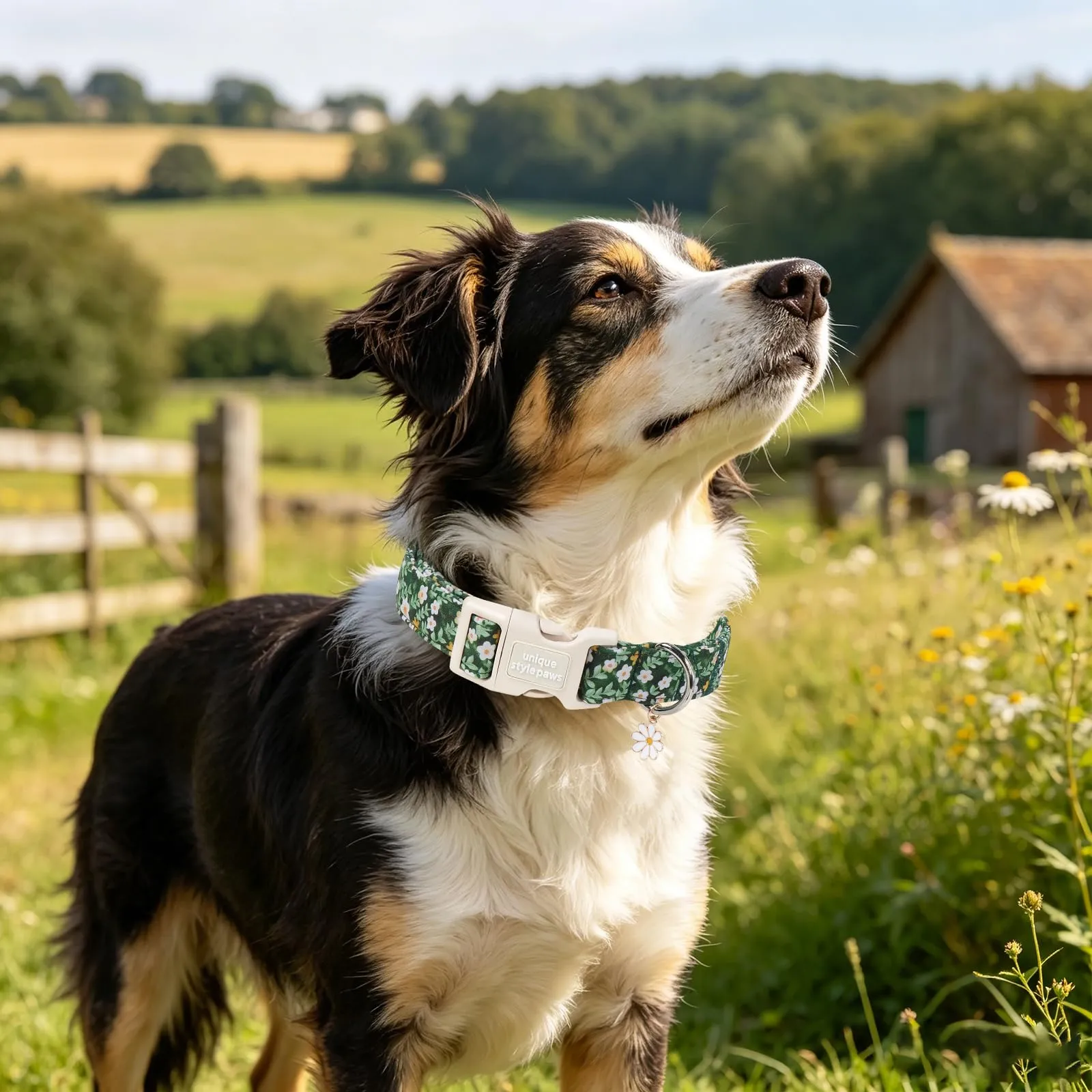 Unique Style Paws Collare per cani in cotone con fiori con ciondolo a forma di fiore, collare per cani regolabile con sgancio rapido e robusto anello a D per cani di taglia piccola, media e grande - immagine 6