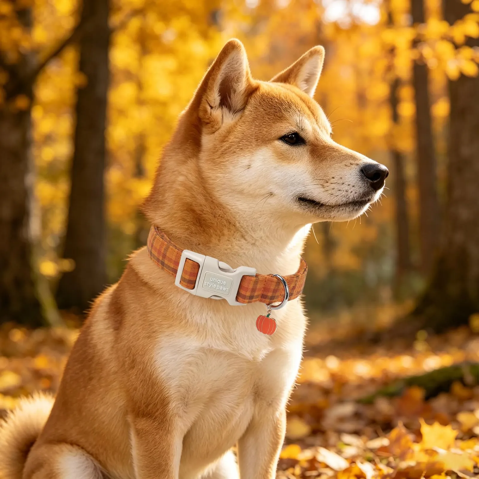 Unique Style Paws Collare autunnale in cotone per cani, regolabile con ciondolo a forma di zucca, sgancio rapido, robusto anello a D, collare per cani a quadretti per cani di taglia piccola - immagine 6