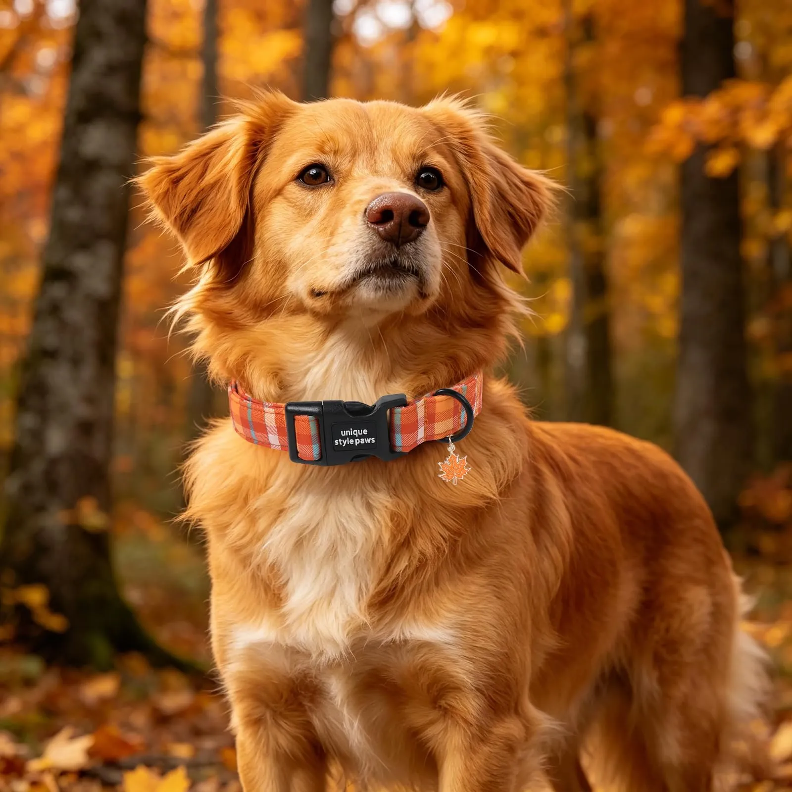 Unique Style Paws Collare per cani in cotone a quadri con ciondolo a forma di foglia d'acero, collare per cani regolabile con sgancio rapido e robusto anello a D per cani di taglia piccola - immagine 6