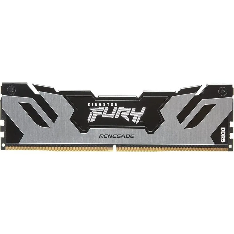 Kingston Technology Fury 48gb 6400mt/s Ddr5 Cl32 Dimm Renegade Argento Xmp - immagine 1