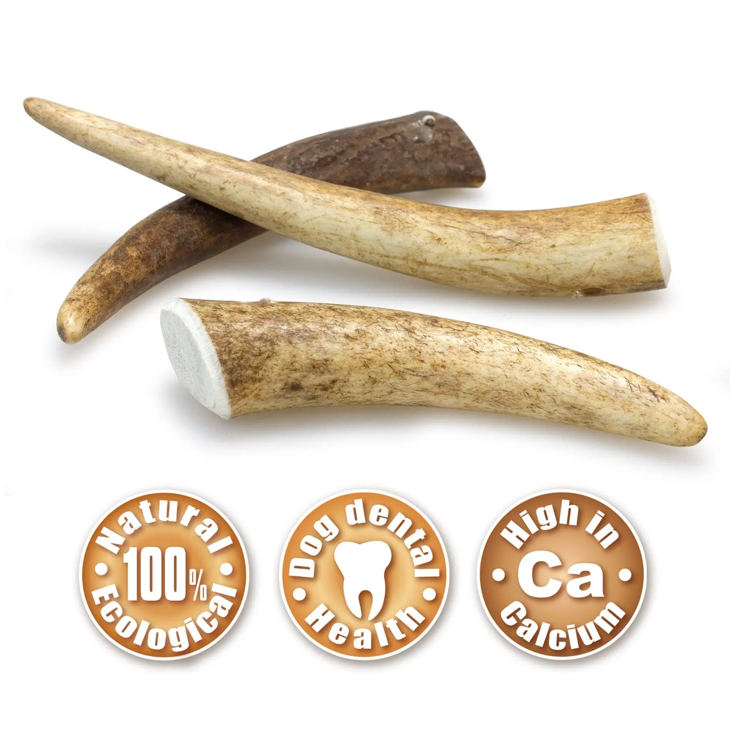 Arquivet Corno di Cervo - Corno da masticare eco-friendly per cani - Naturale autunnale - S - 15-39 g - immagine 2