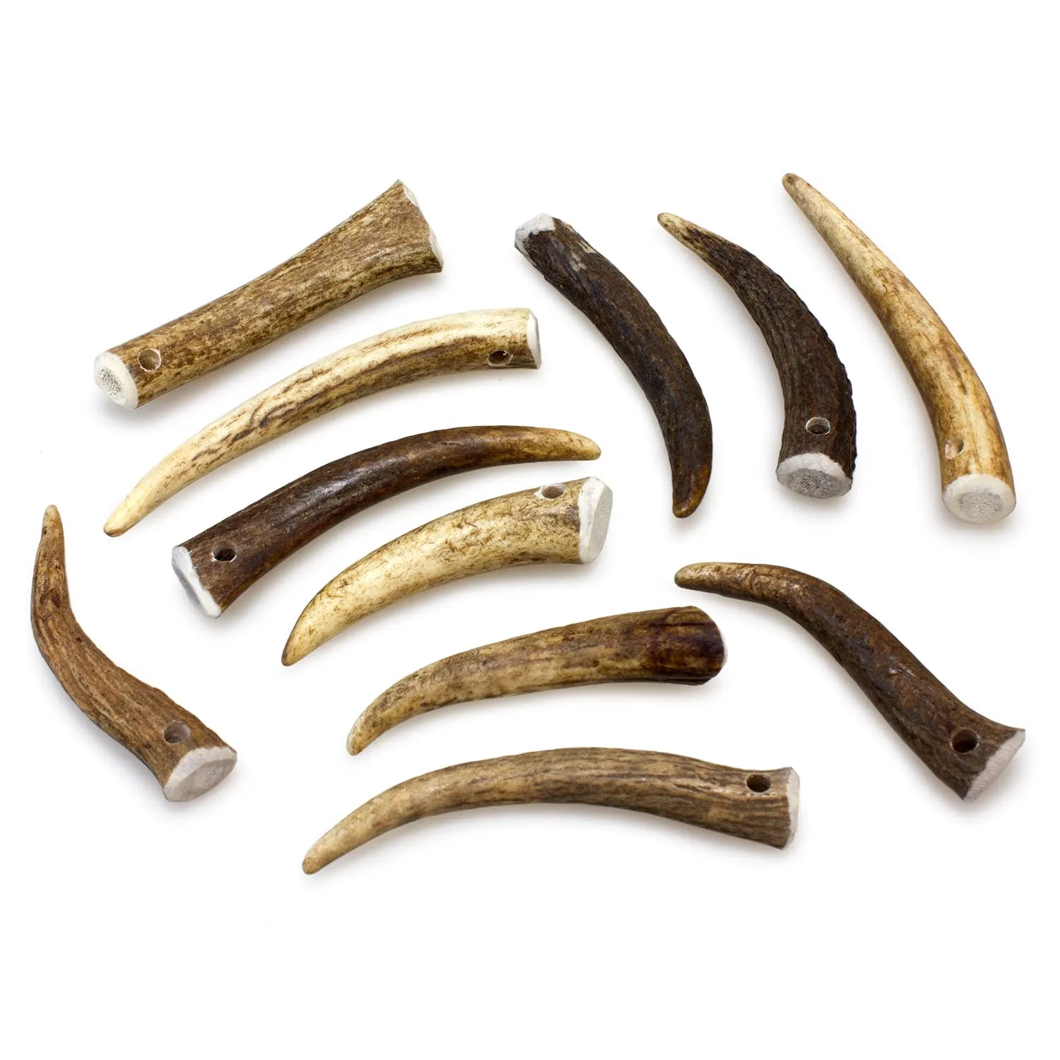 Arquivet Corno di Cervo - Corno da masticare eco-friendly per cani - Naturale autunnale - S - 15-39 g - immagine 3