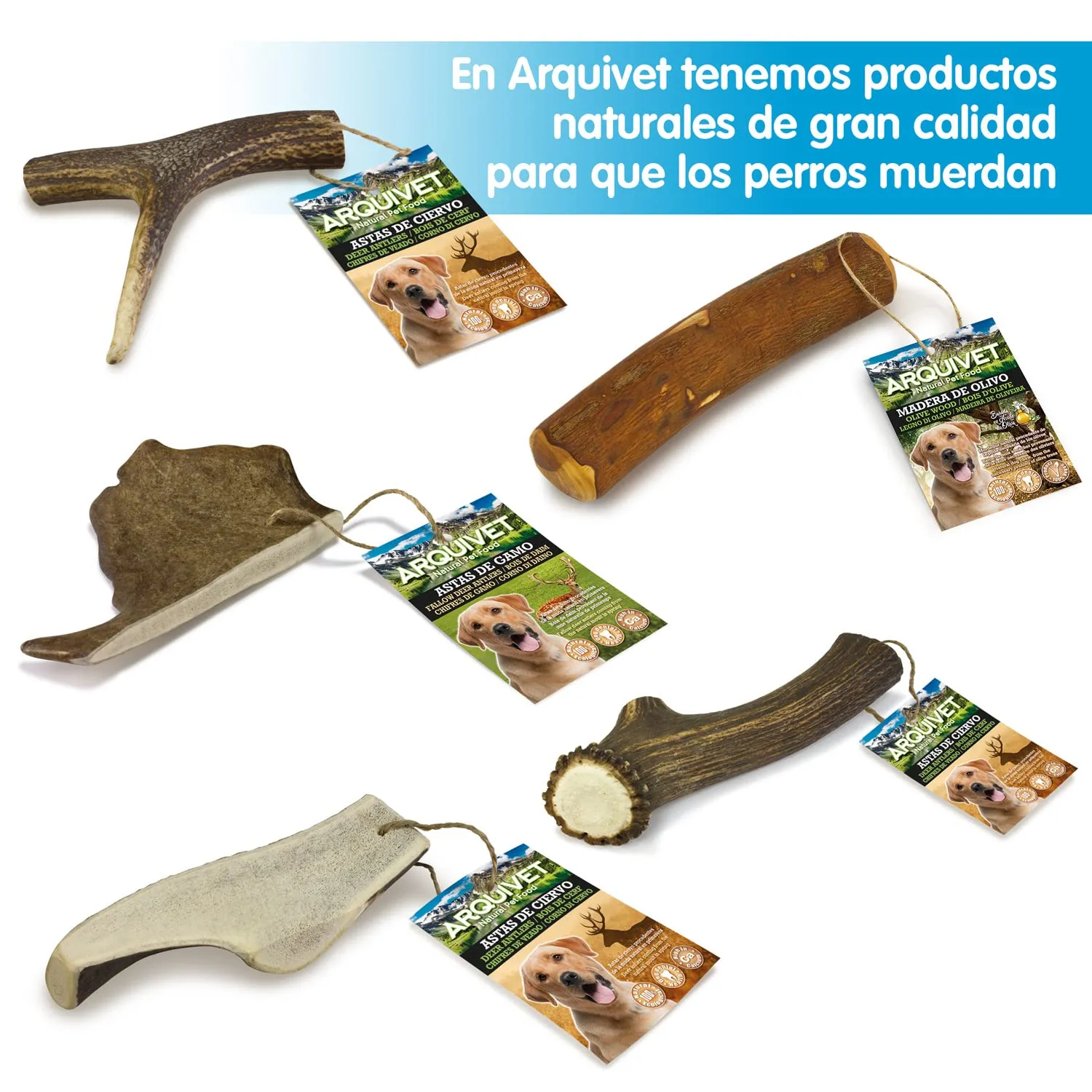 Arquivet Corno di Cervo - Corno da masticare eco-friendly per cani - Naturale autunnale - S - 15-39 g - immagine 5